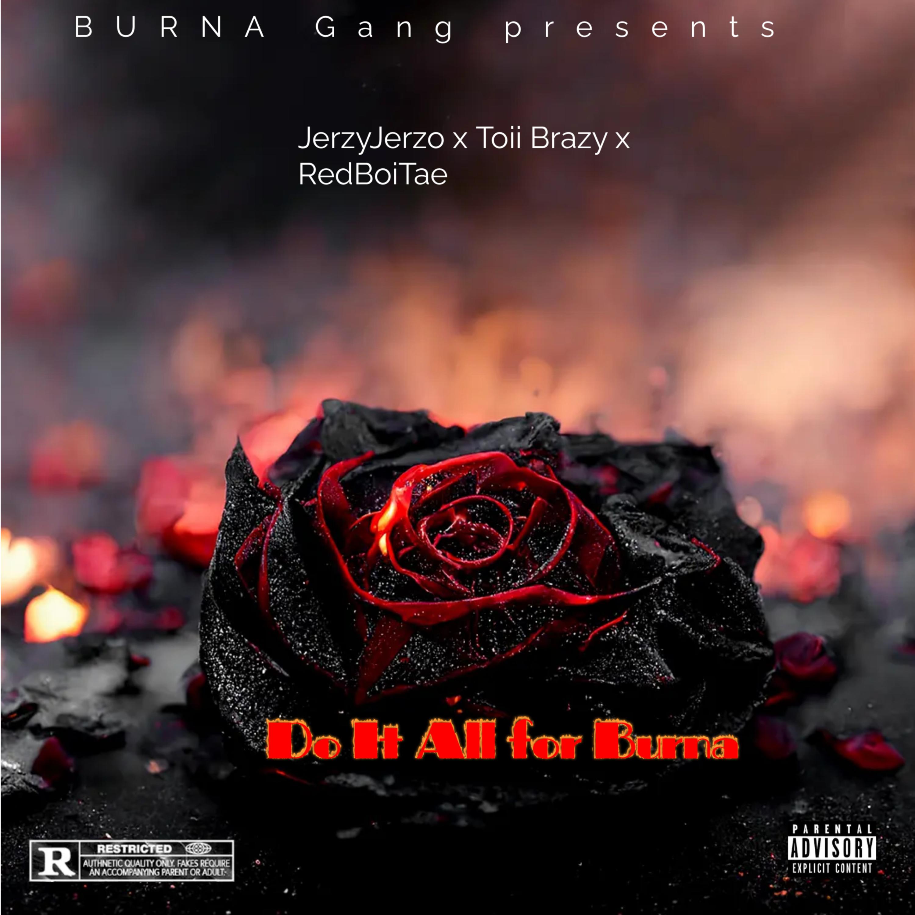All For Burna artwork