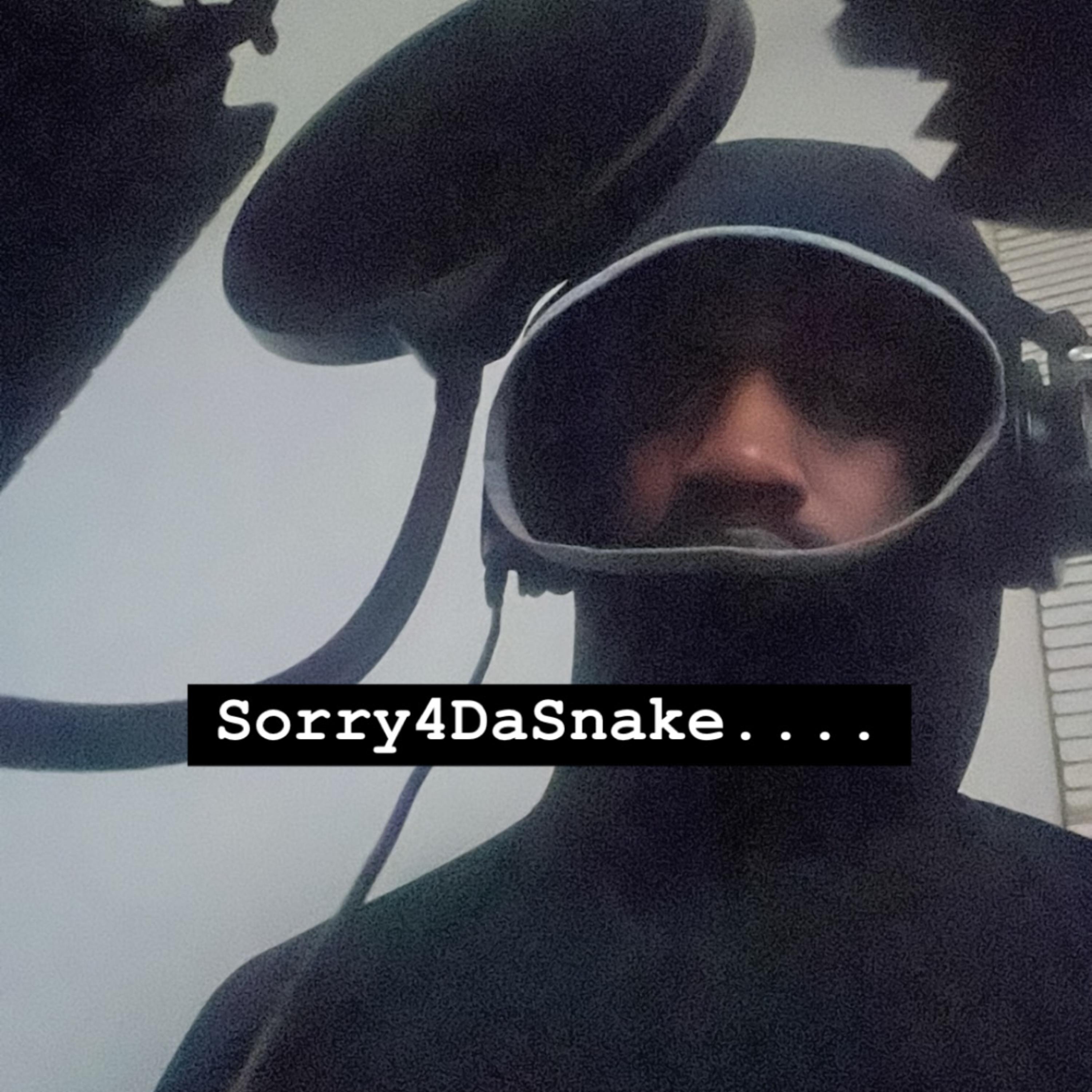 Sorry 4 Da Snake artwork