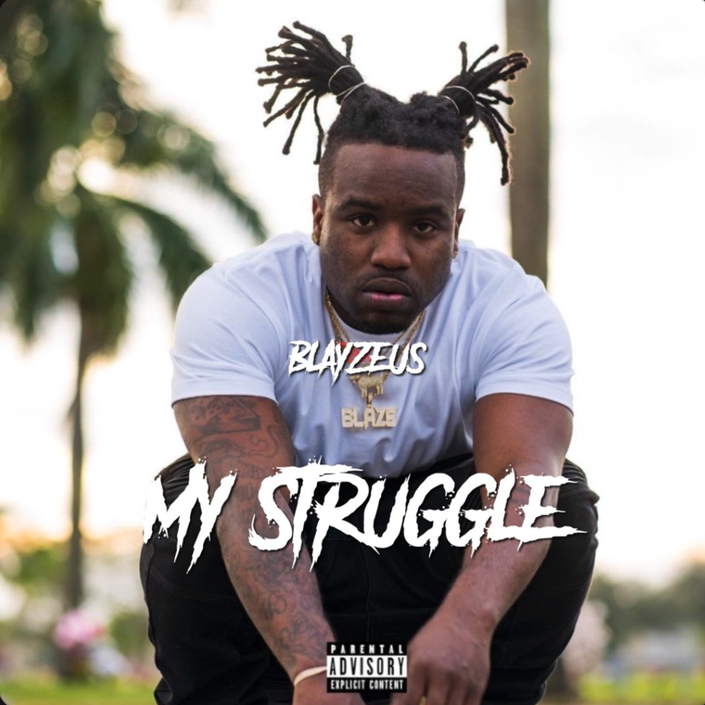 My Struggle by Blayzeus cover art