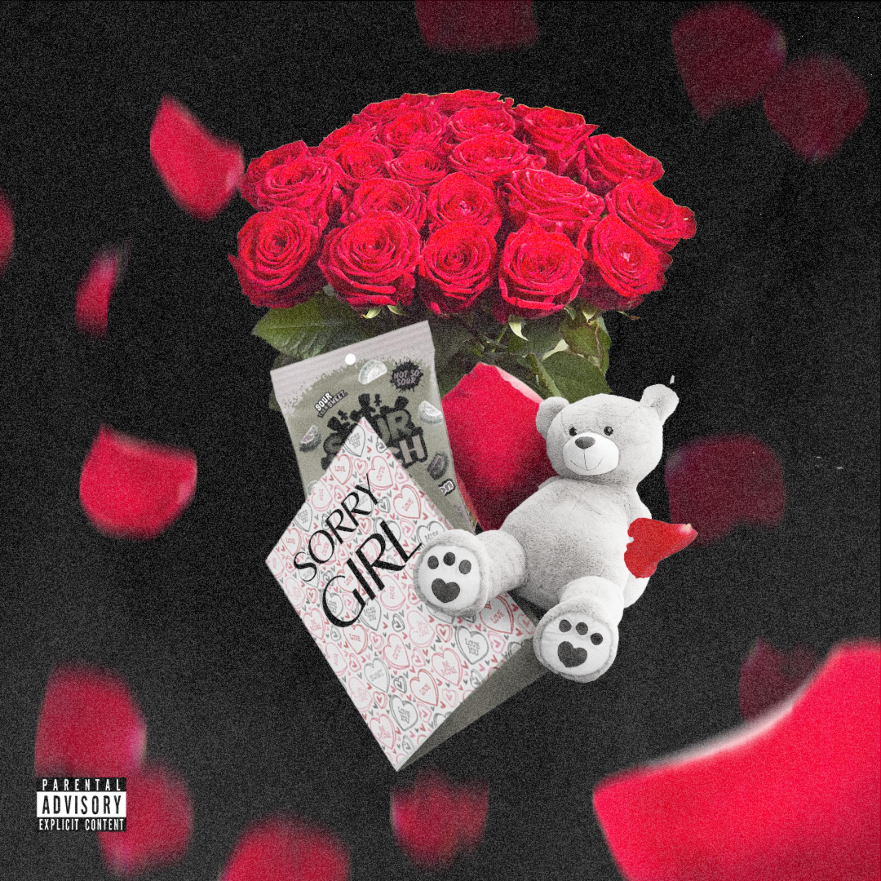Sorry Girl artwork