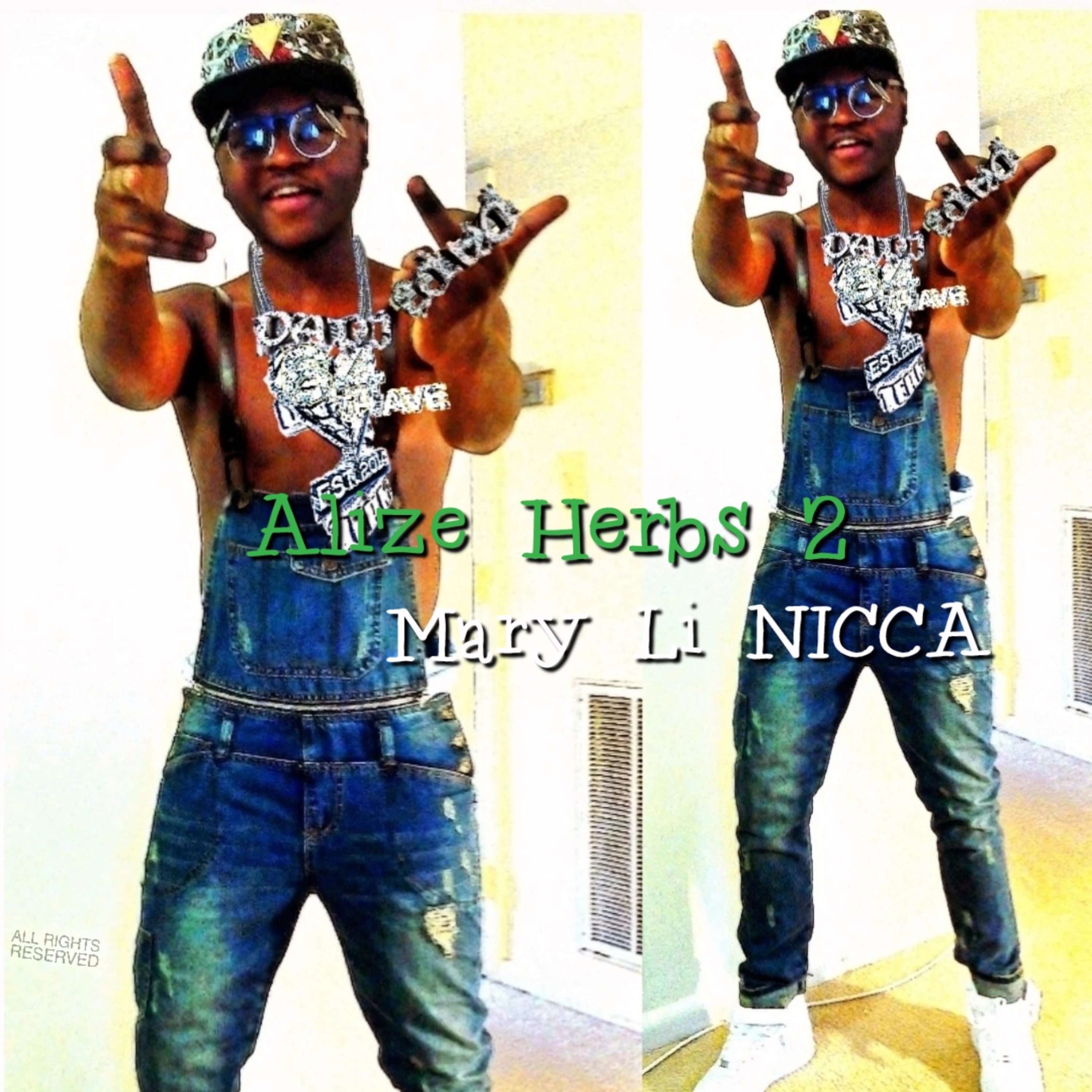 Alize Herbs 2 artwork