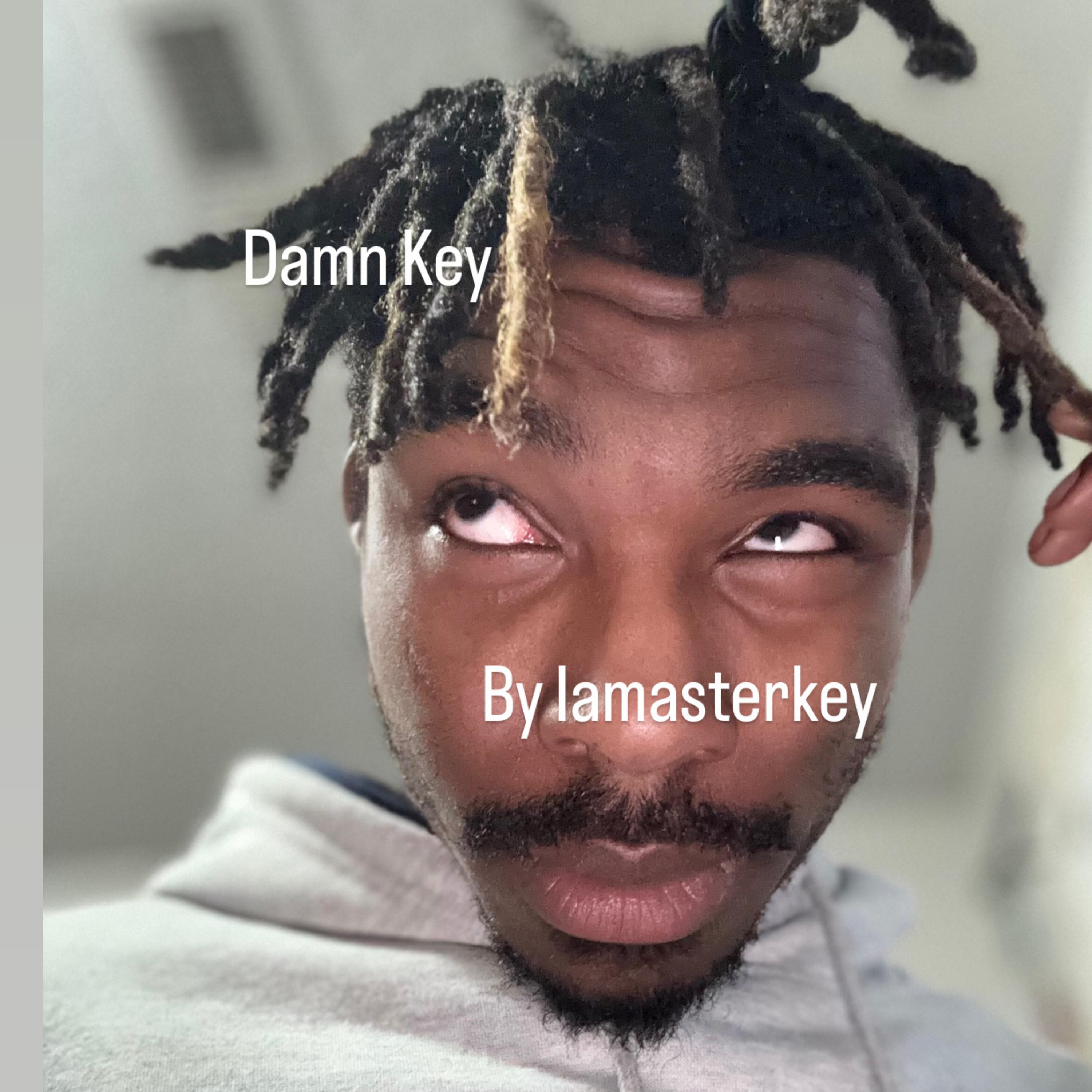 Damn Key by IamasterKey cover art