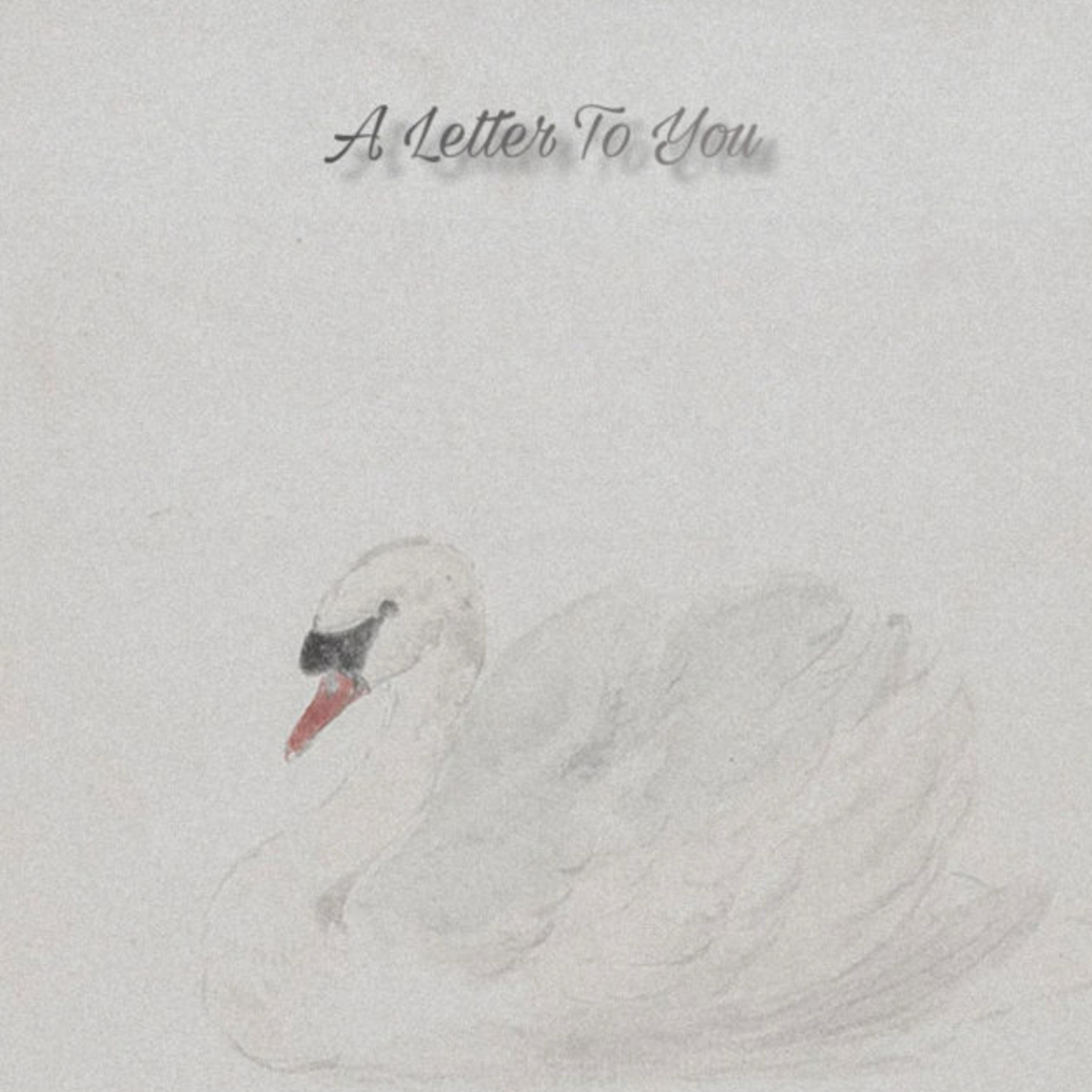 A Letter To You artwork