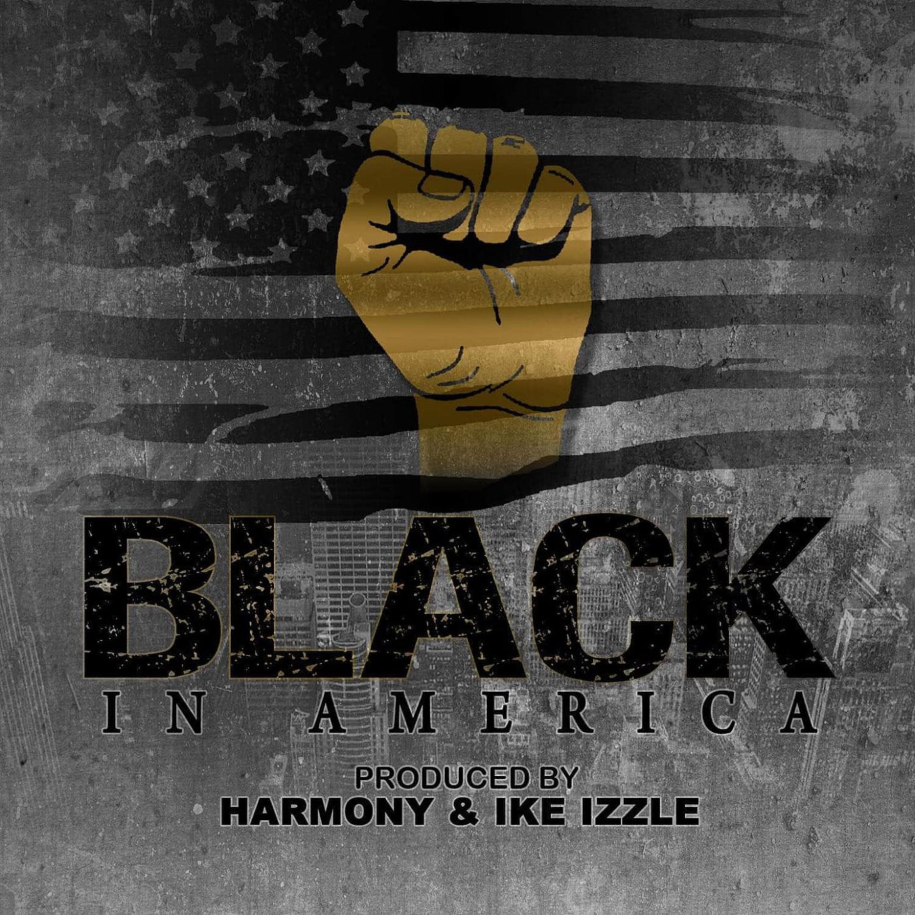 Black In America artwork