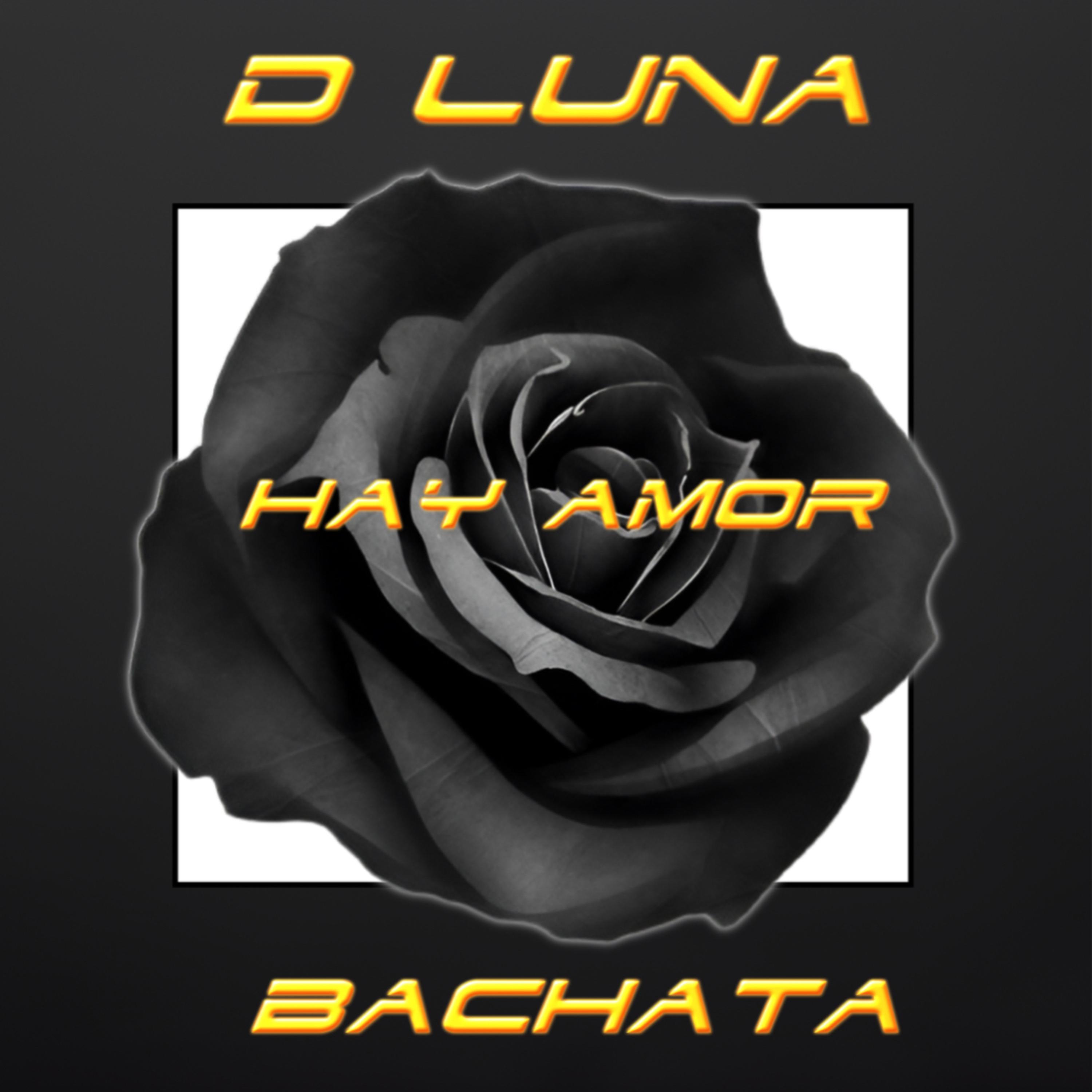 Hay Hay Amor artwork