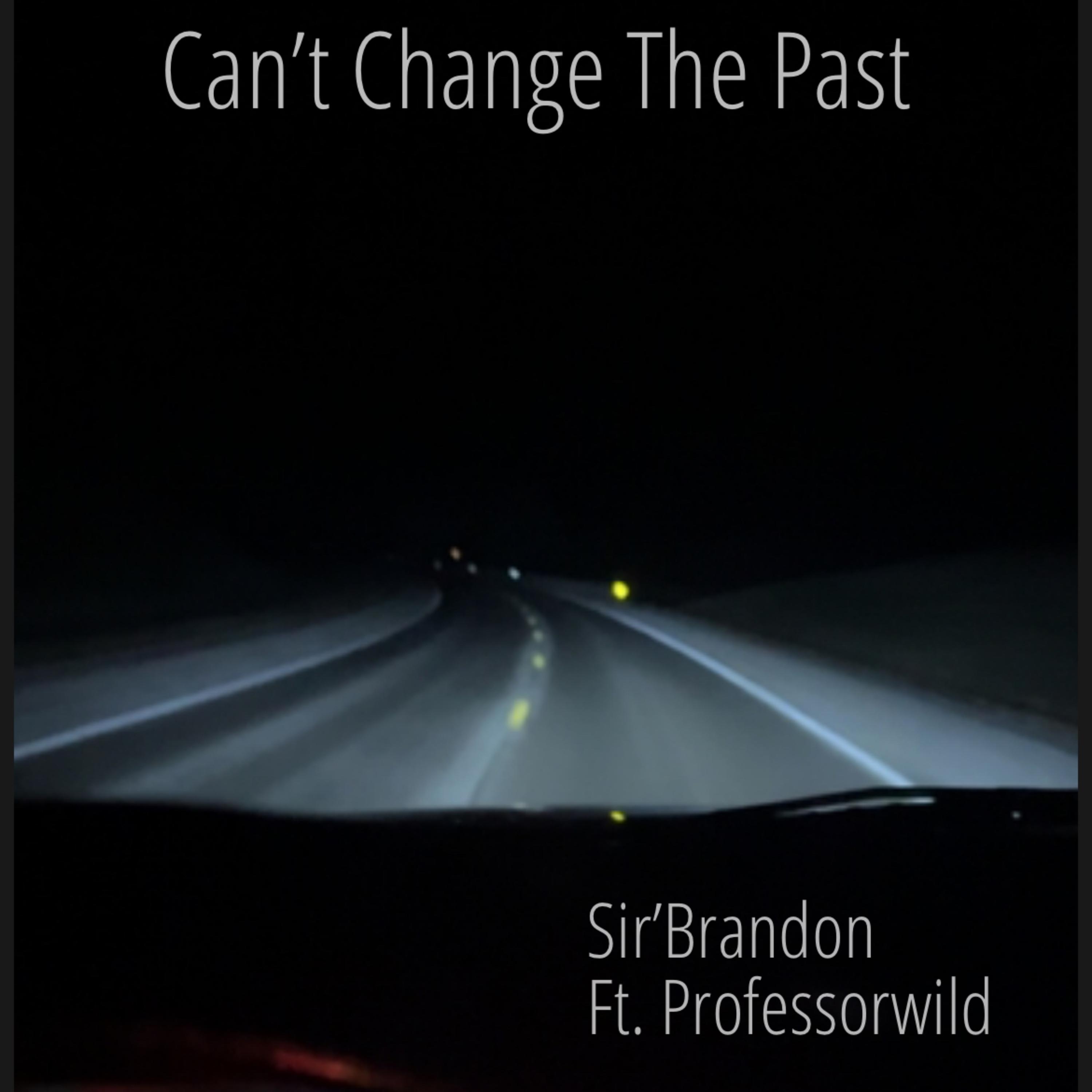 Can’t Change The Past artwork