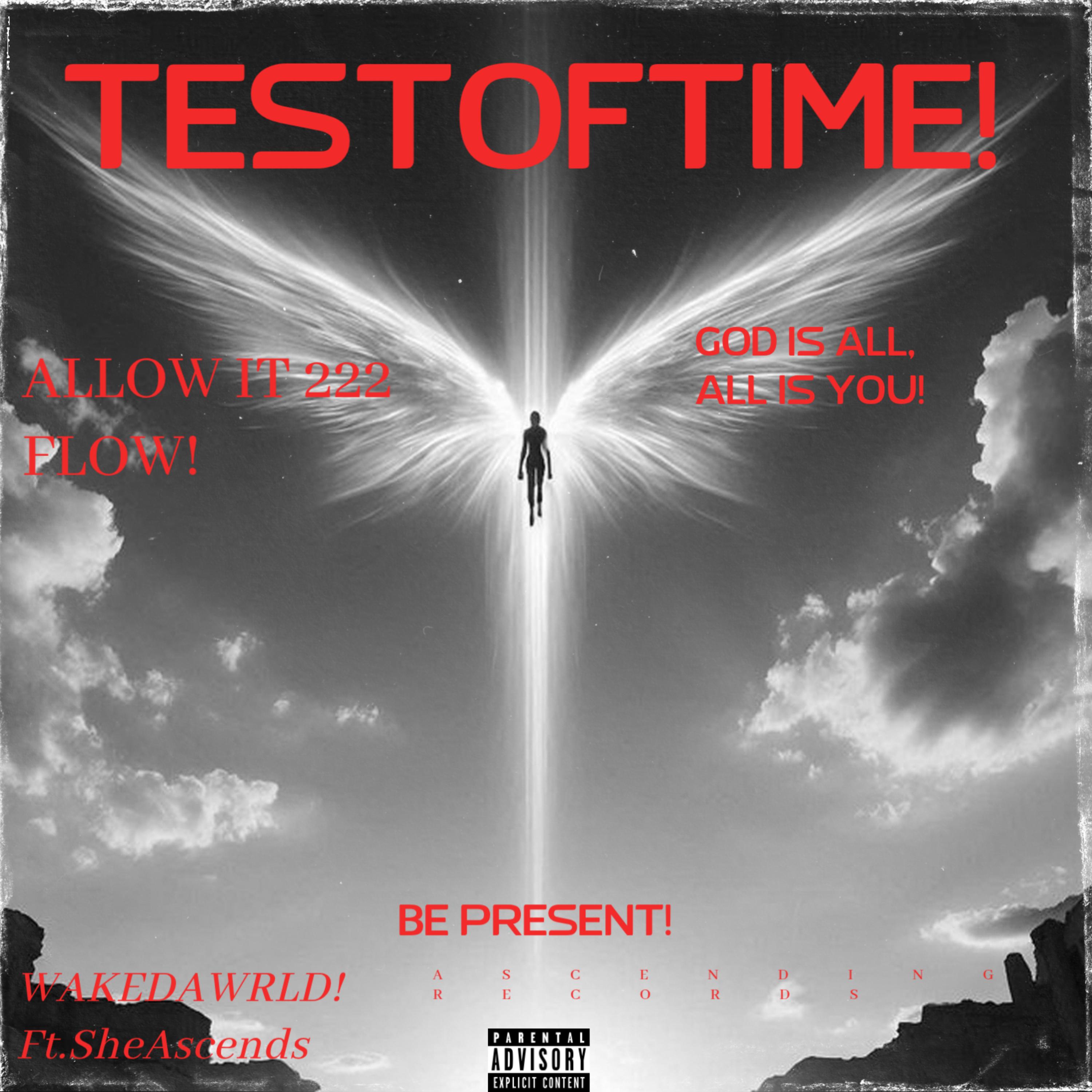 TESTOFTIME! artwork
