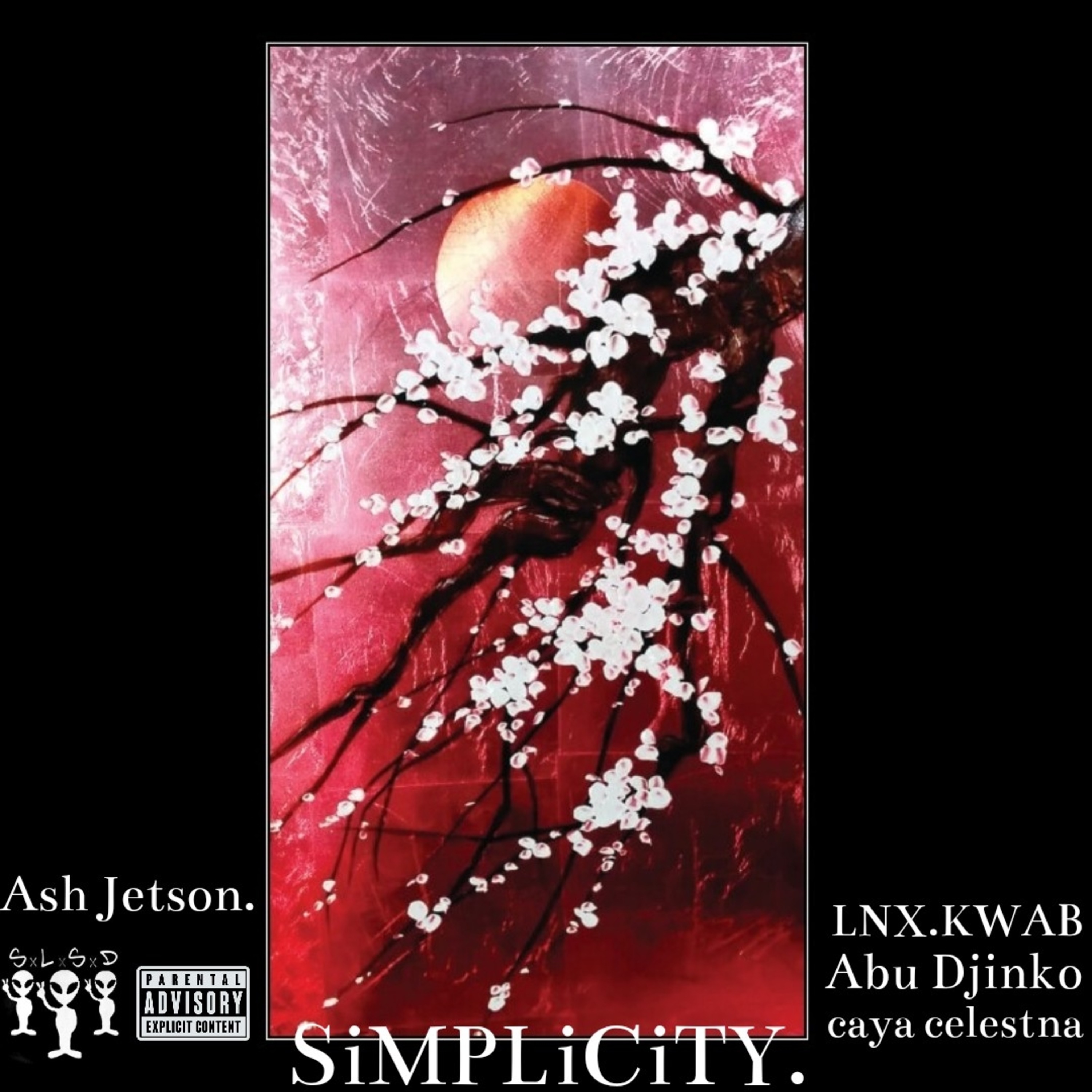 SiMPLiCiTY. artwork