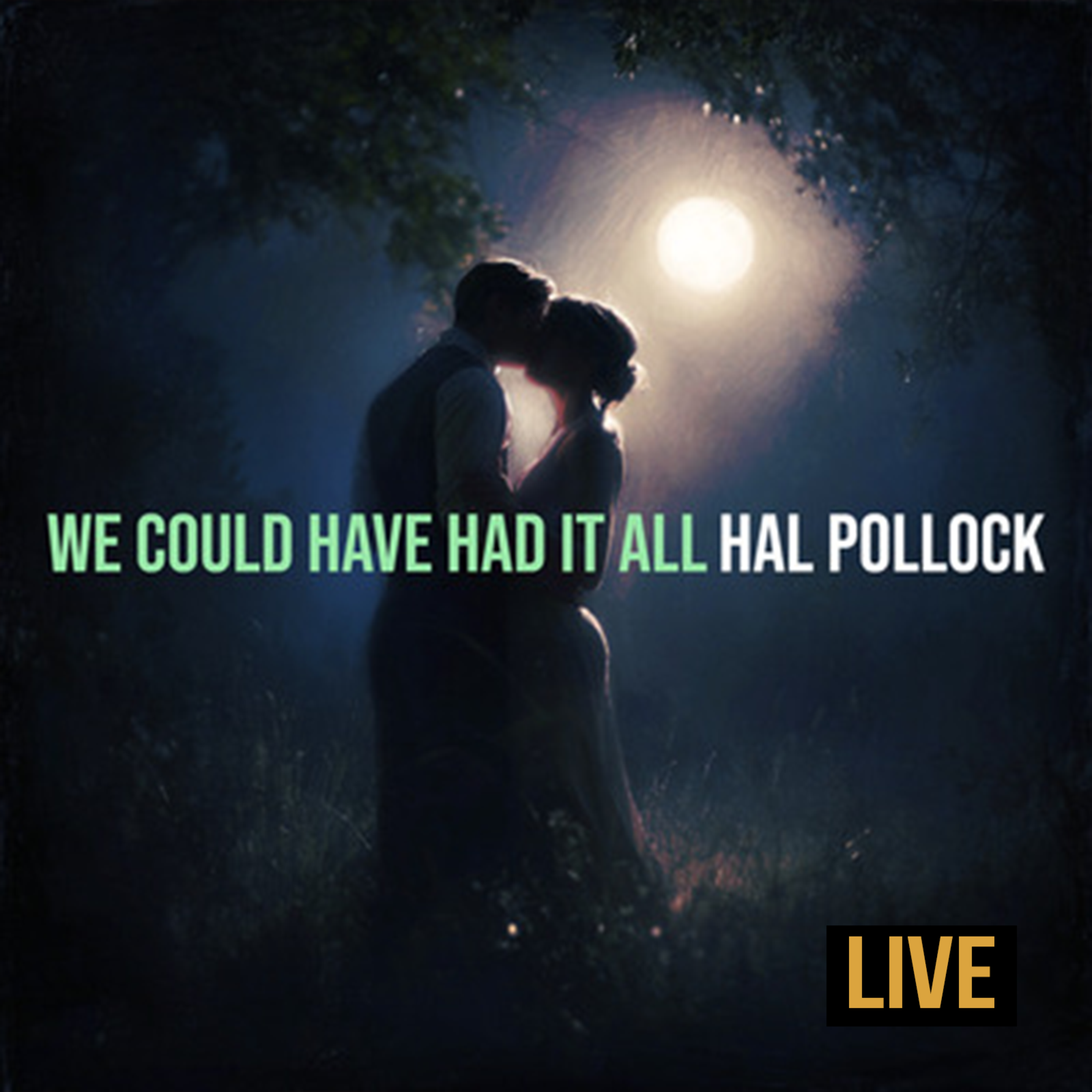 We Could Have Had It All (LIVE) by Hal Pollock cover art