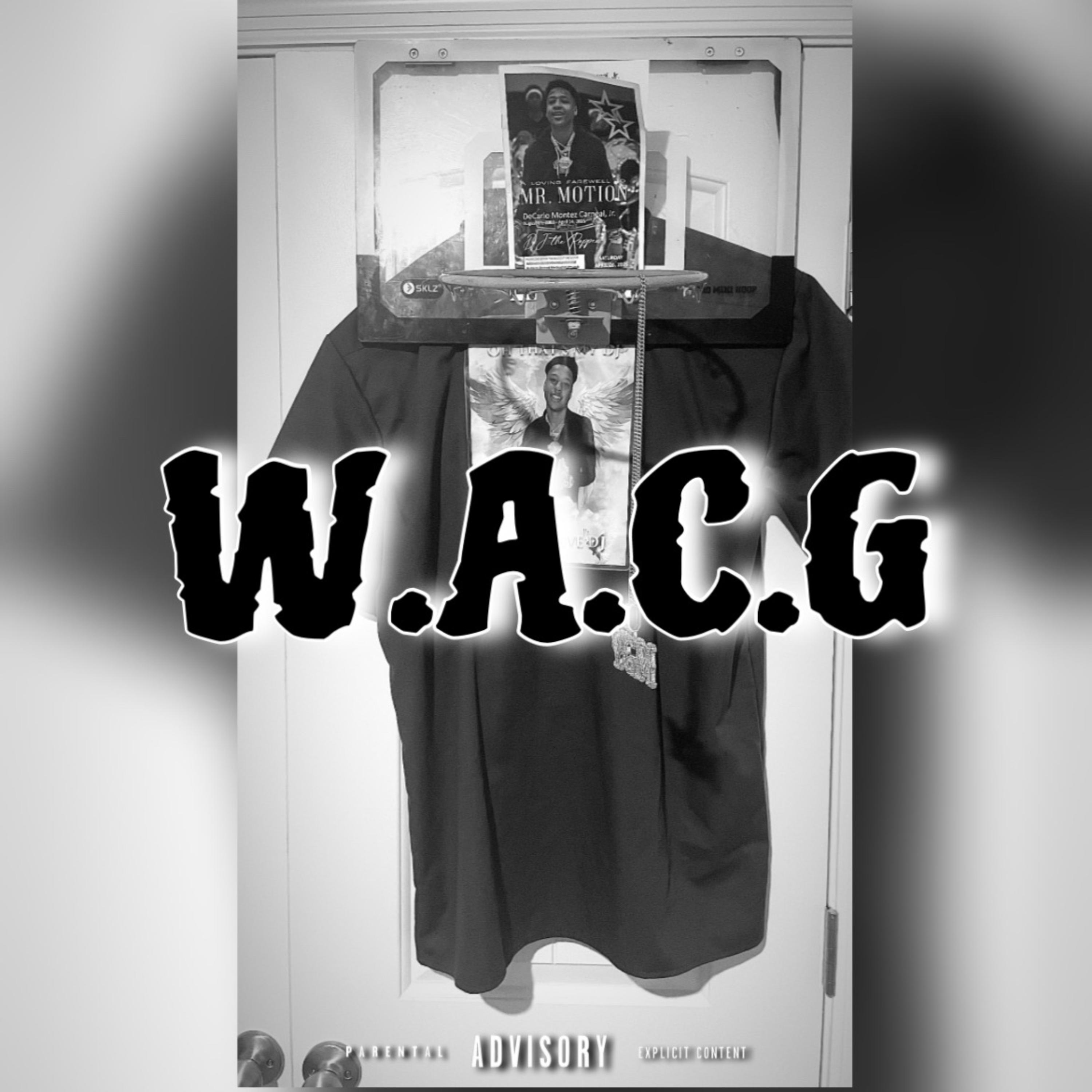 W.A.C.G artwork