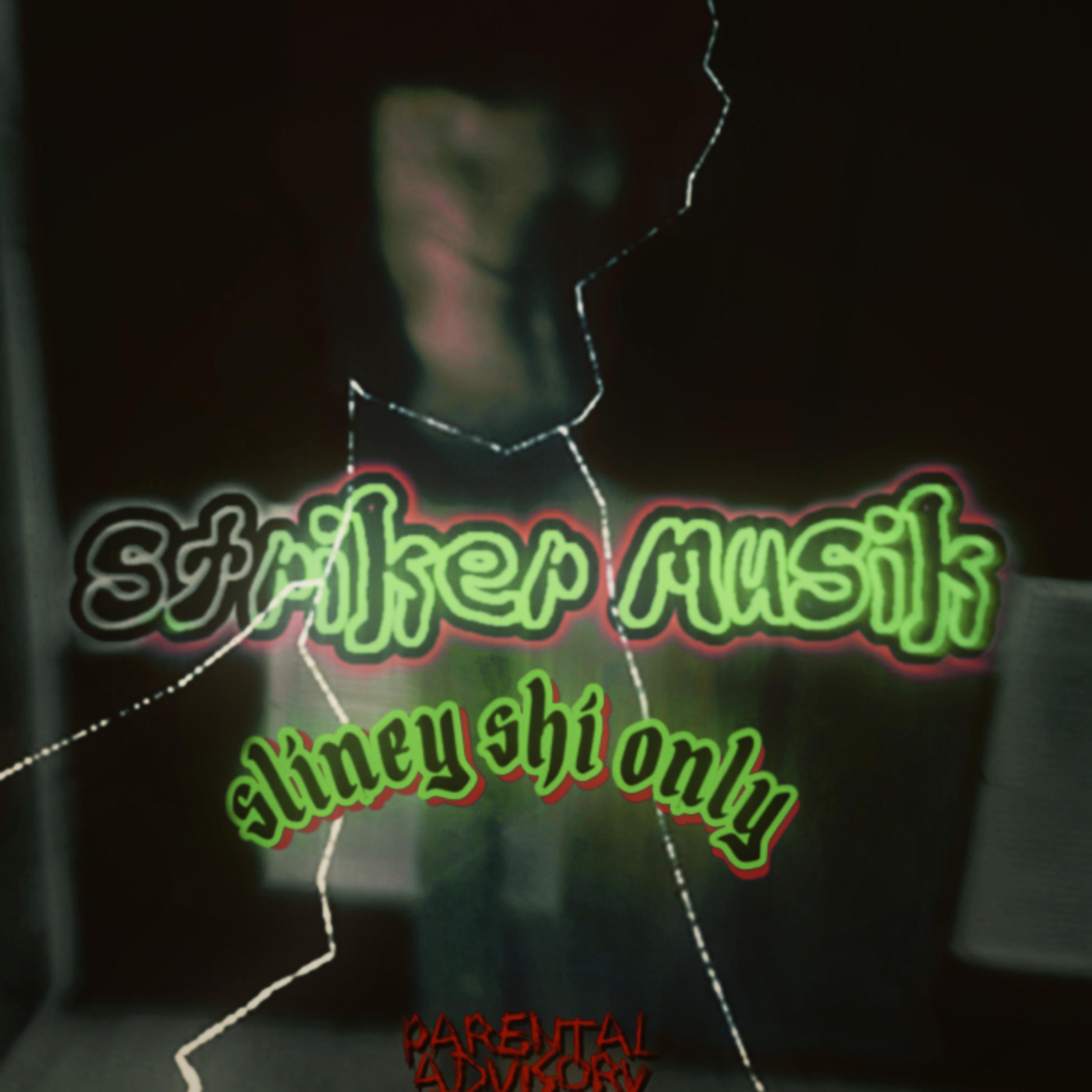 Striker Musik artwork