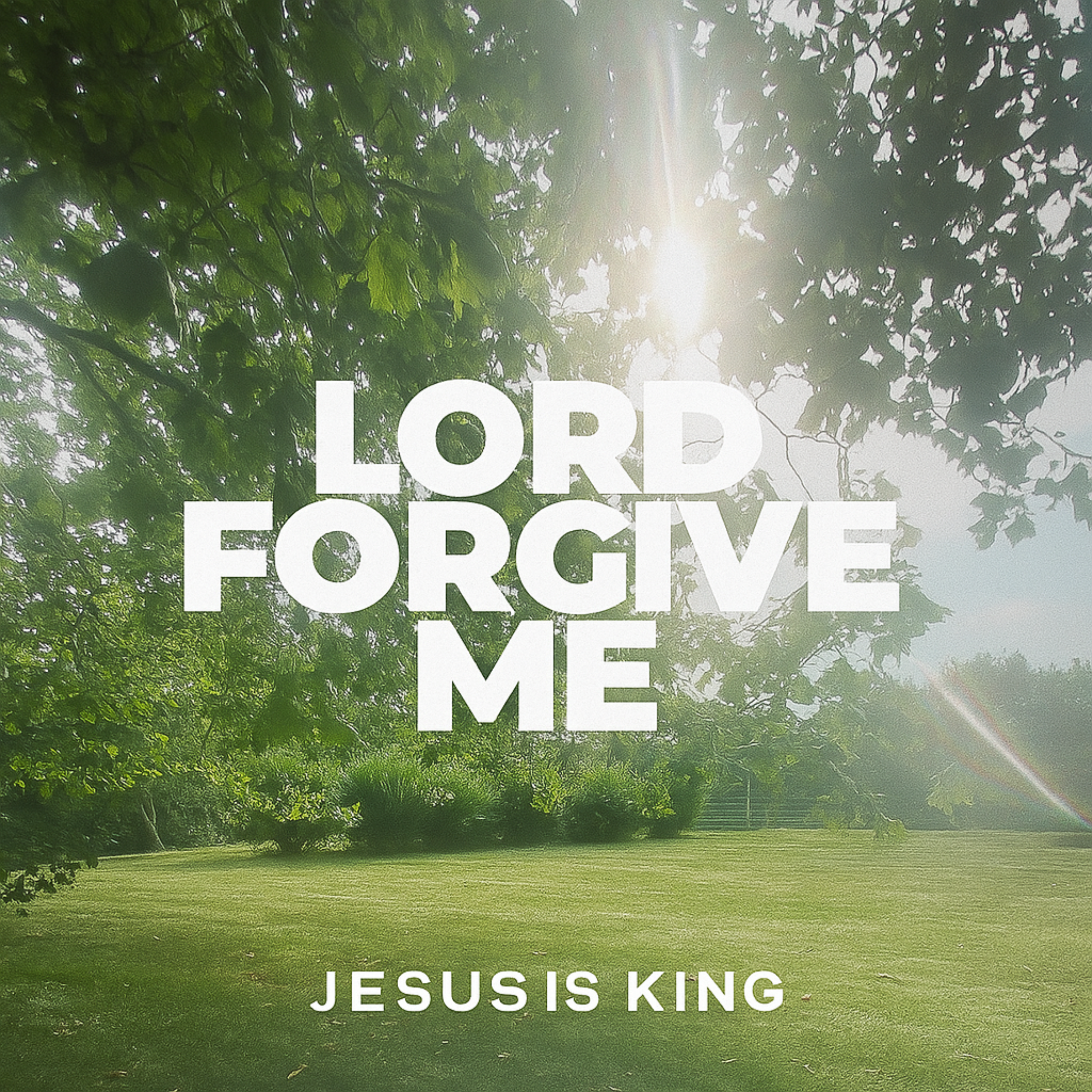 Lord Forgive Me artwork
