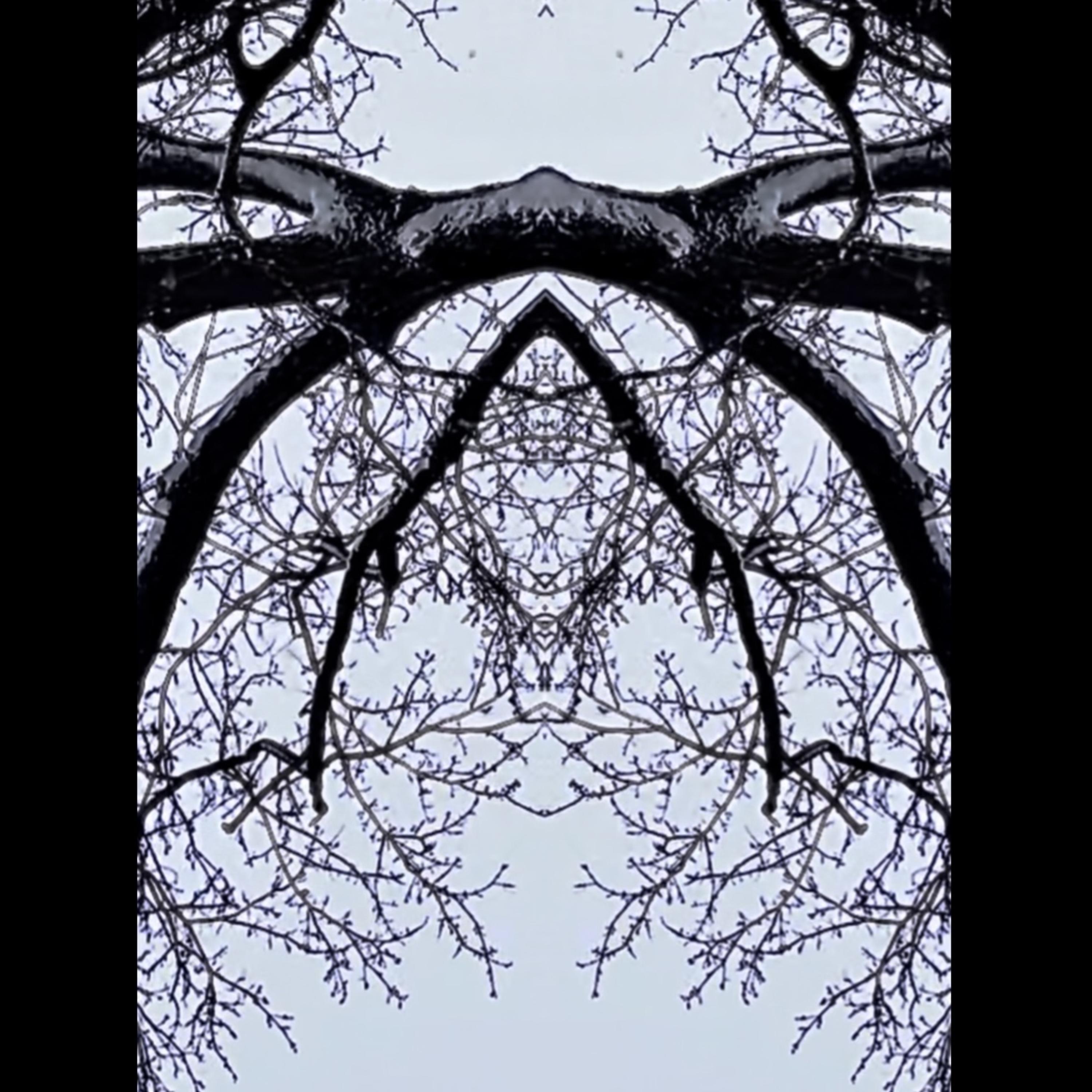 MiSSing artwork
