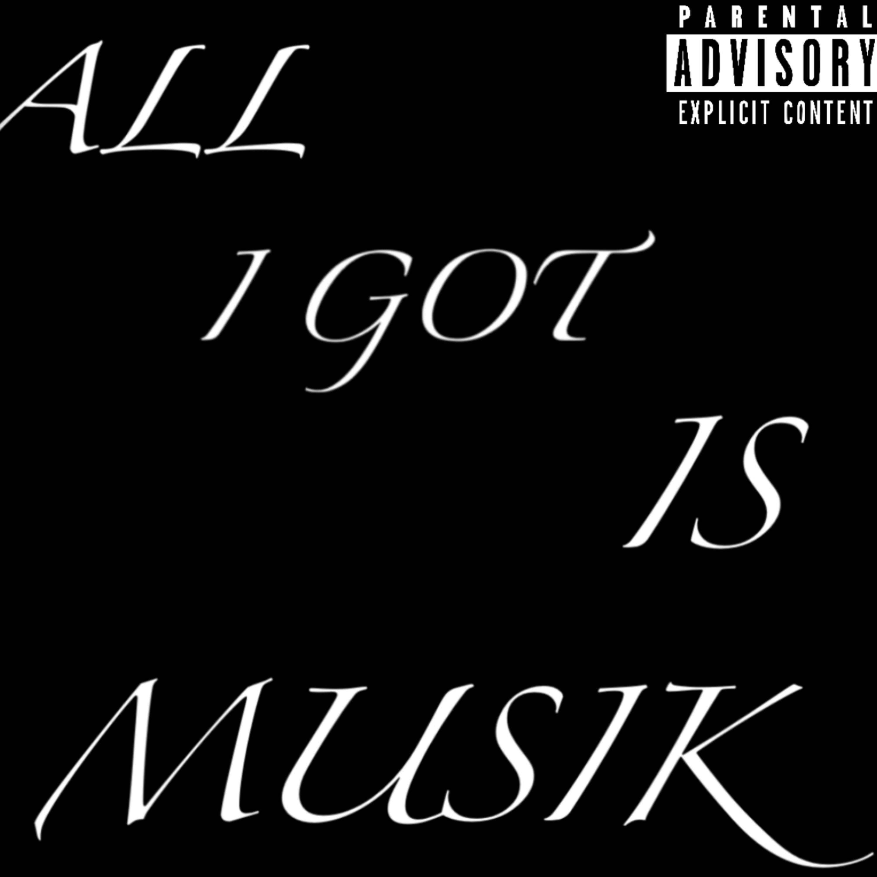 ALL I GOT IS MUSIK artwork