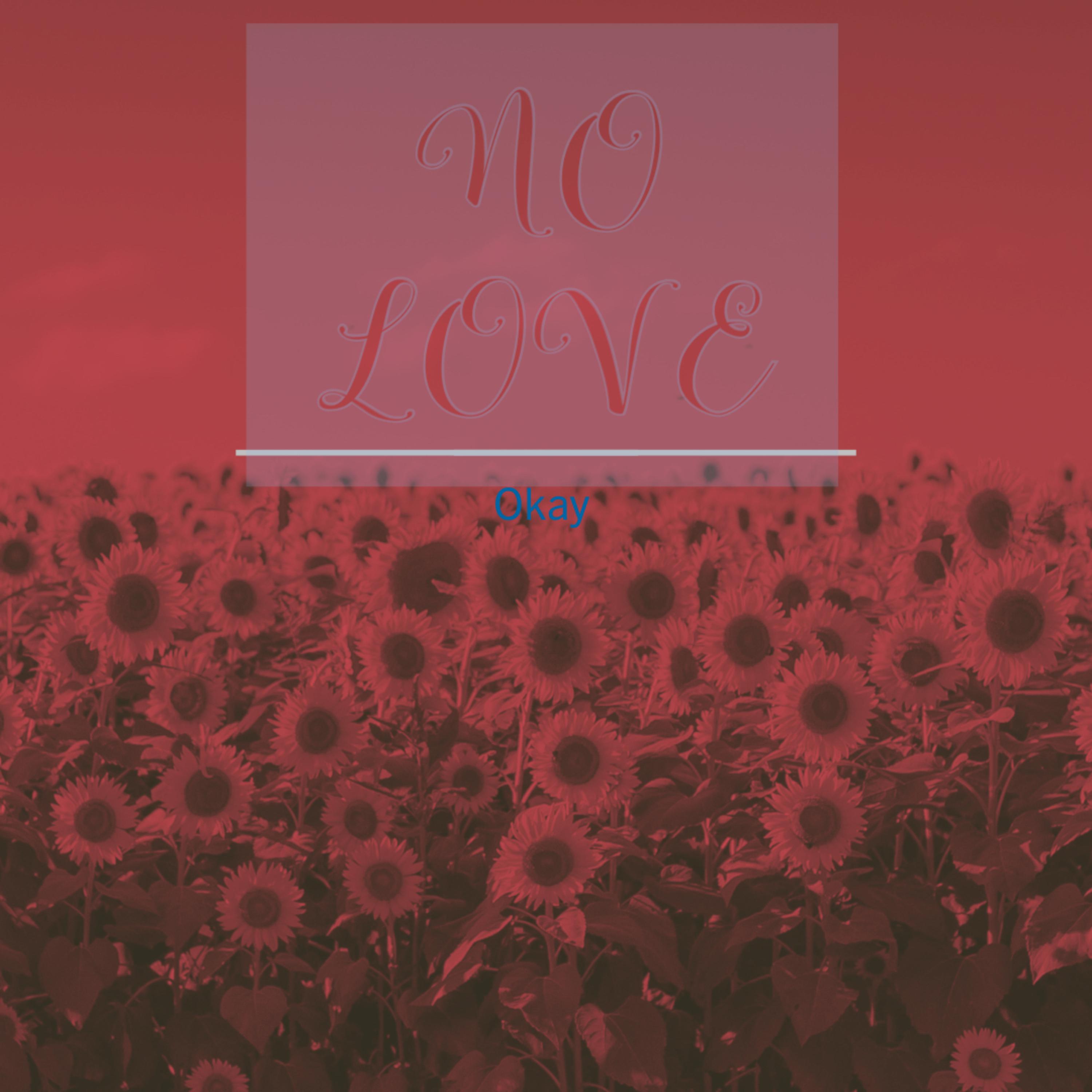 NO LOVE¡ artwork