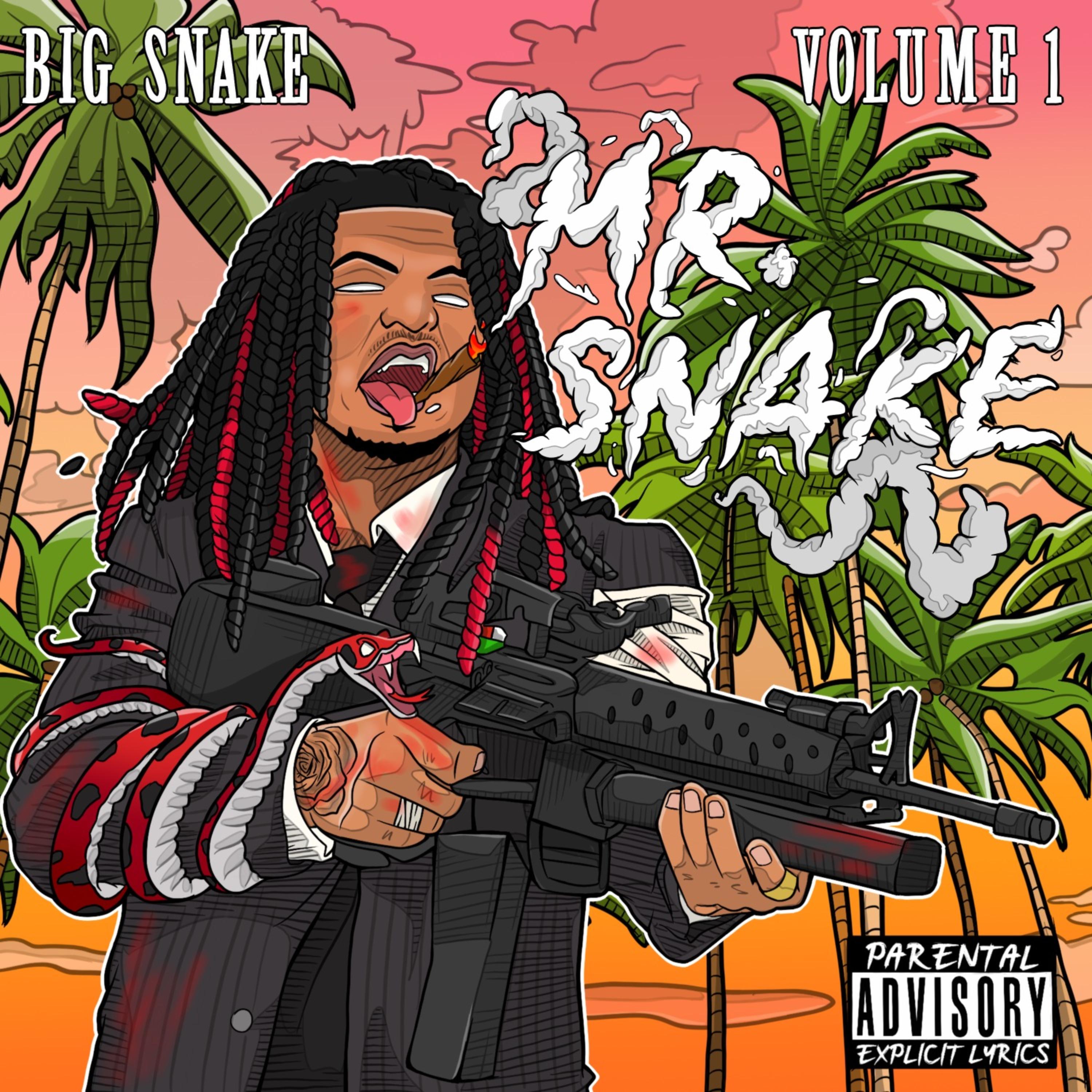 Mr.Snake by Big Snake cover art