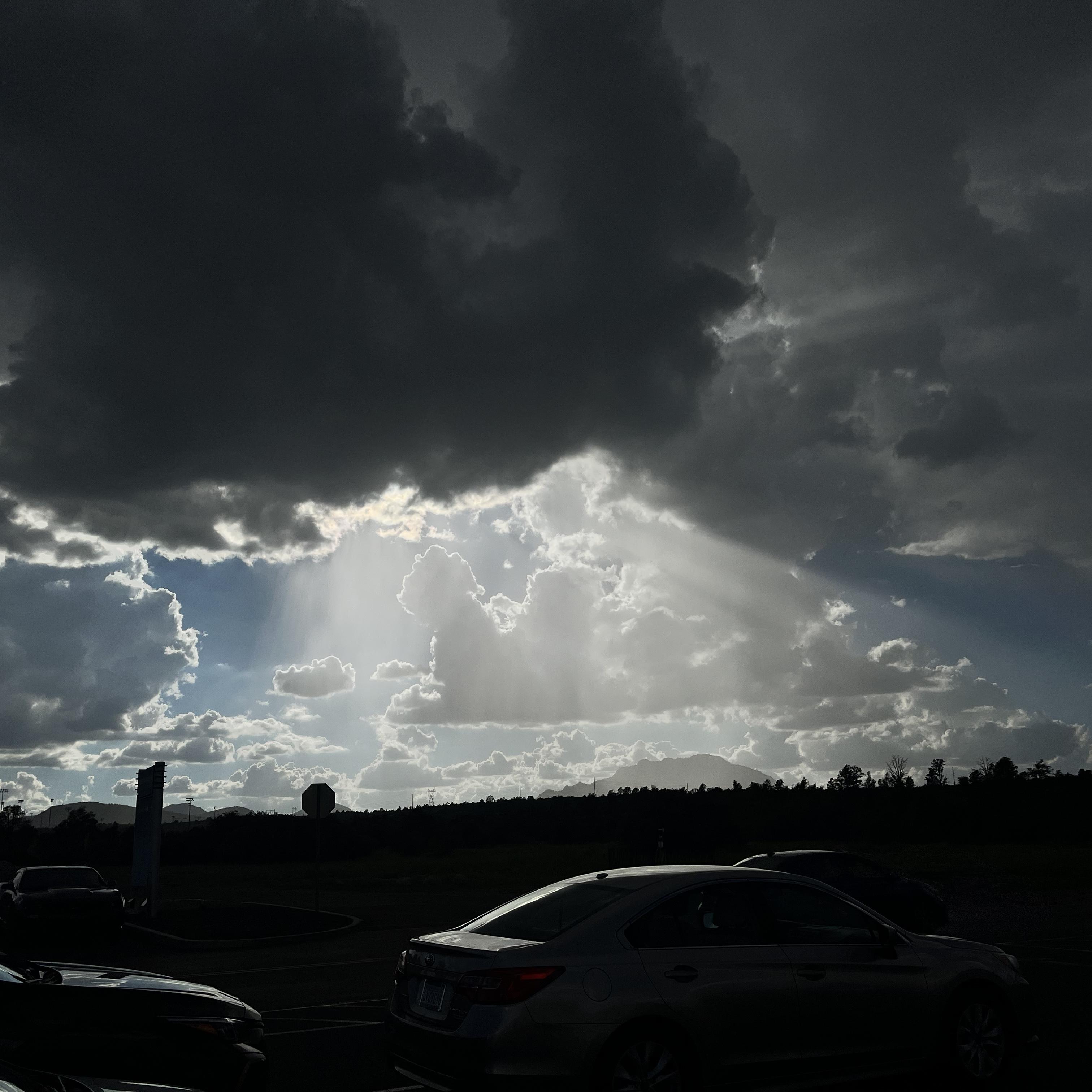 Moonlight Trance artwork