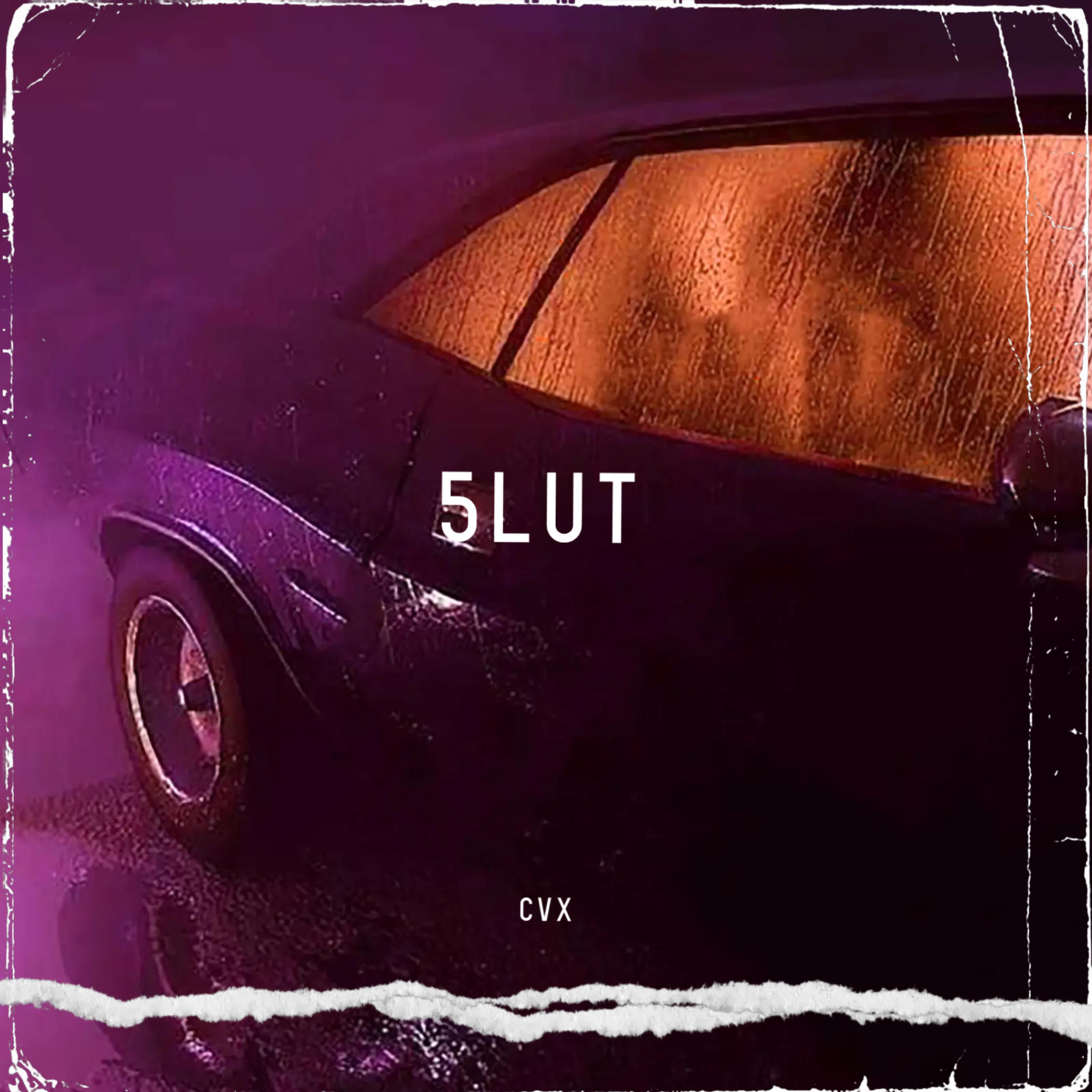 5 L U T artwork