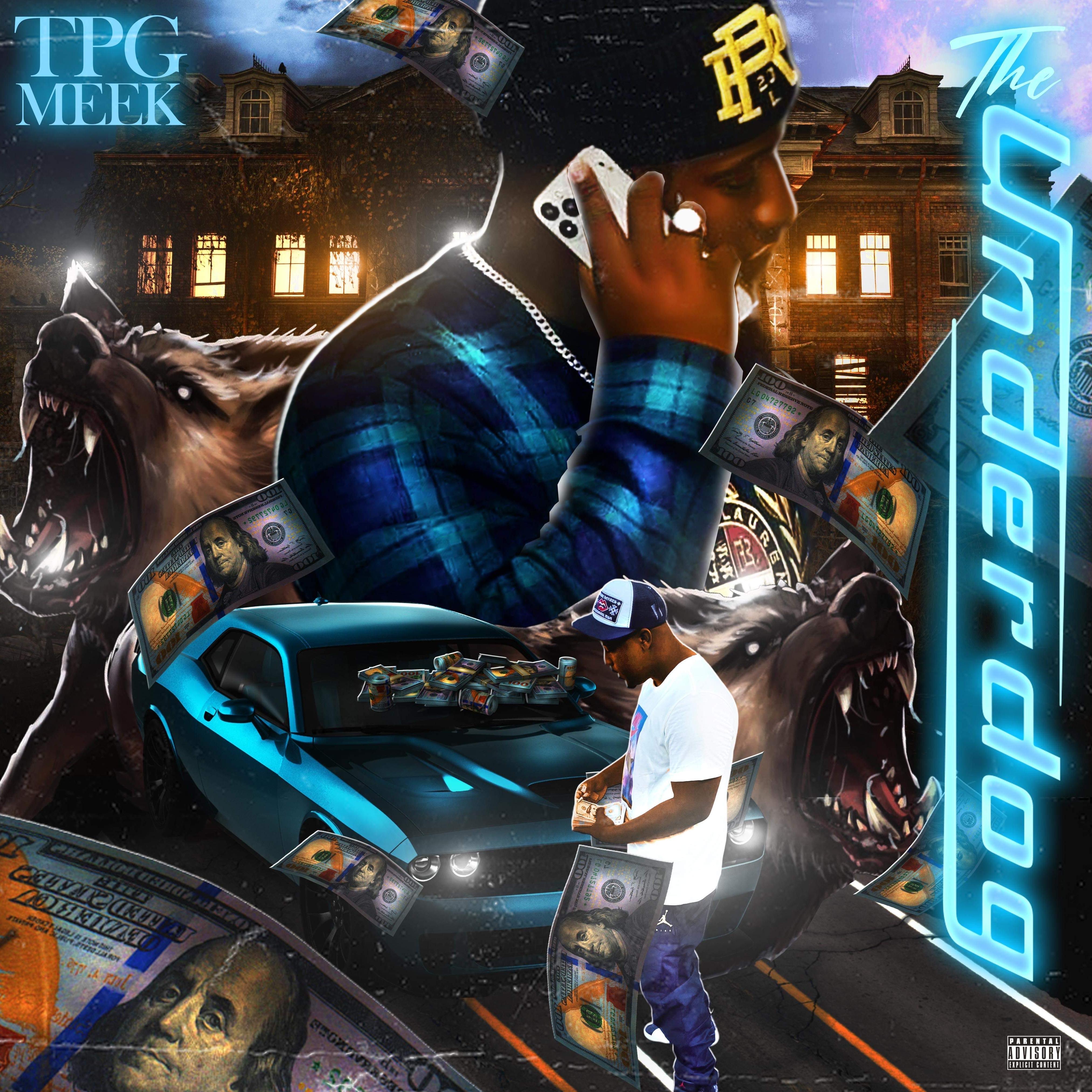 The Underdog by Tpg Meek cover art