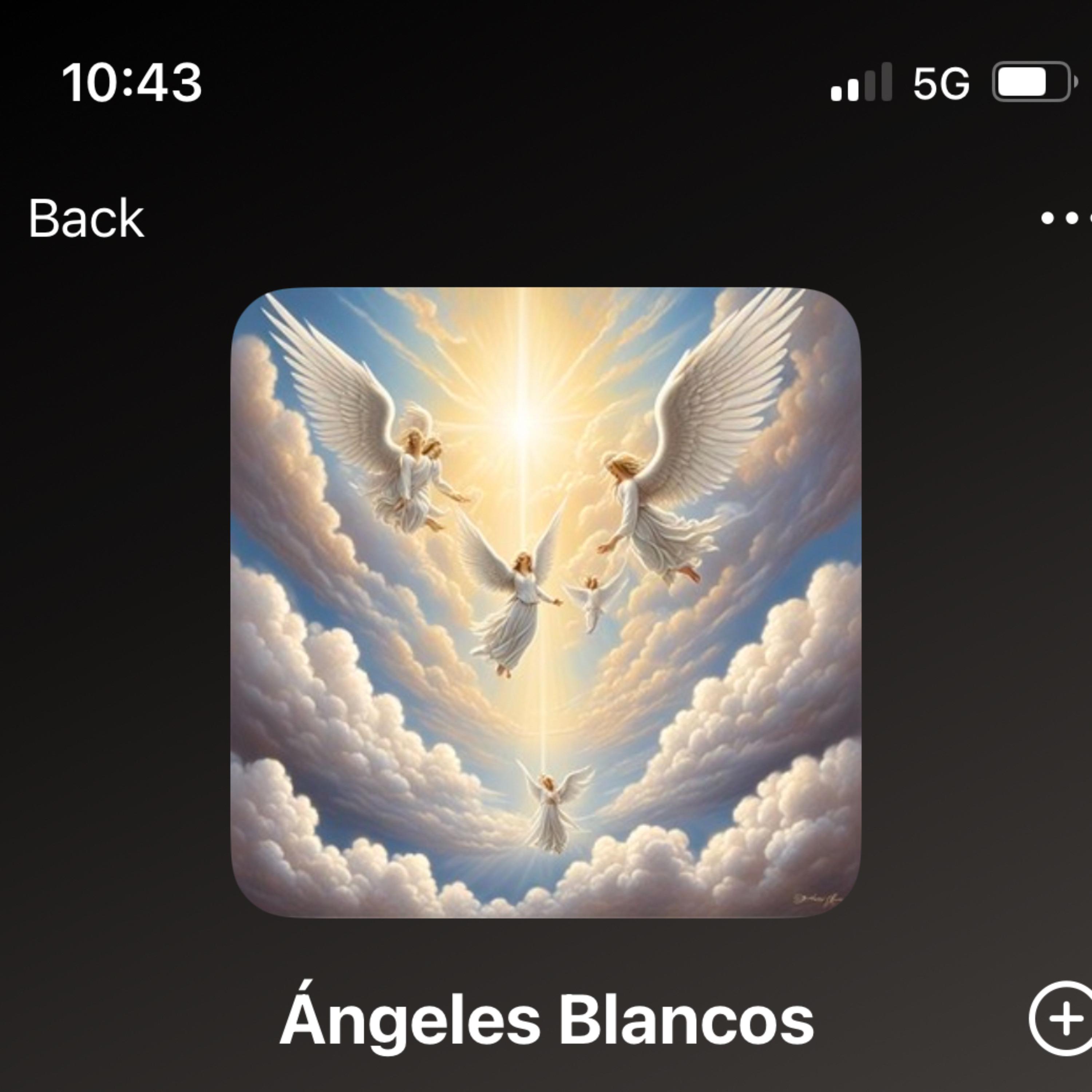 Angeles Blancos artwork