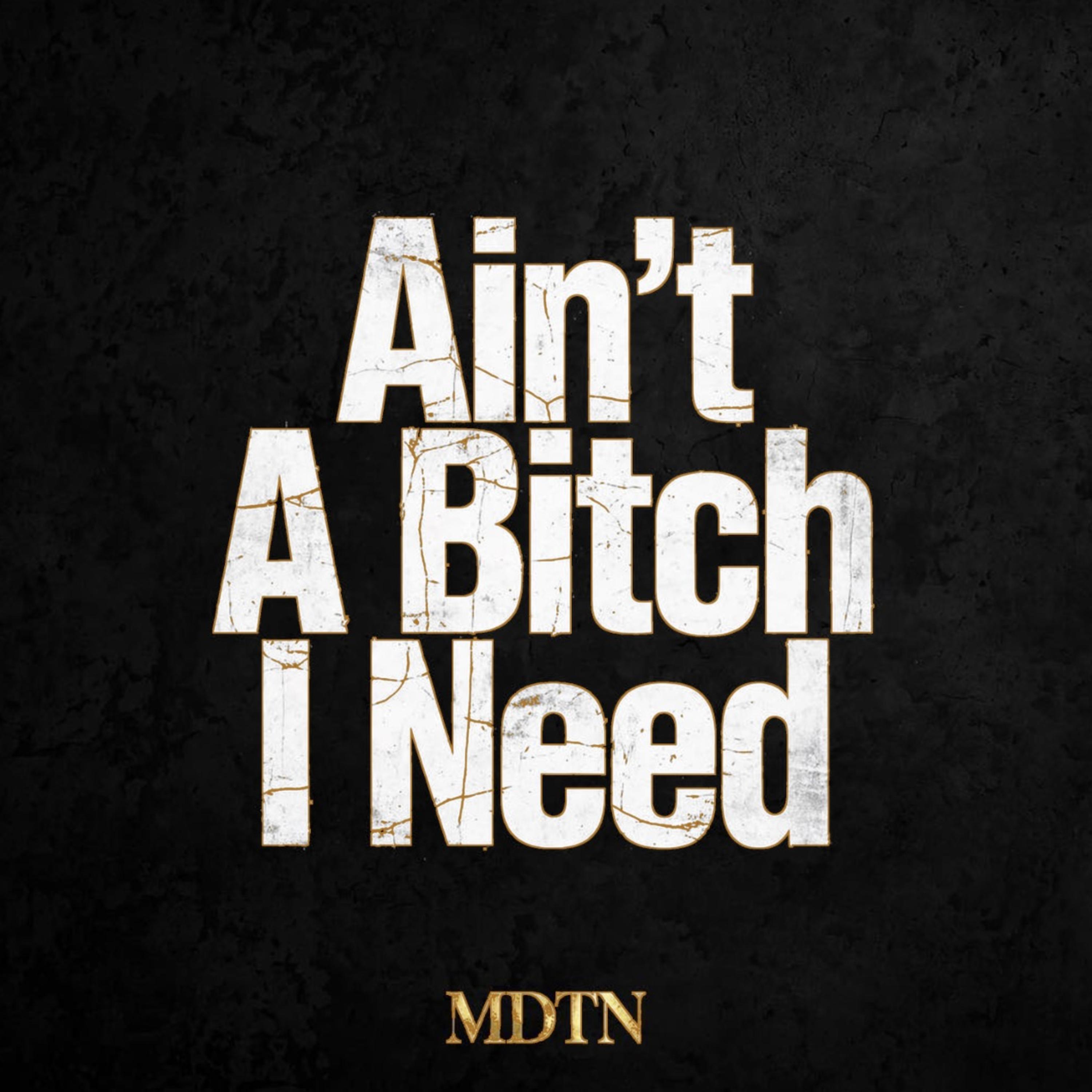 Ain’t A Bitch I Need by Mister Dont Tell nobody cover art