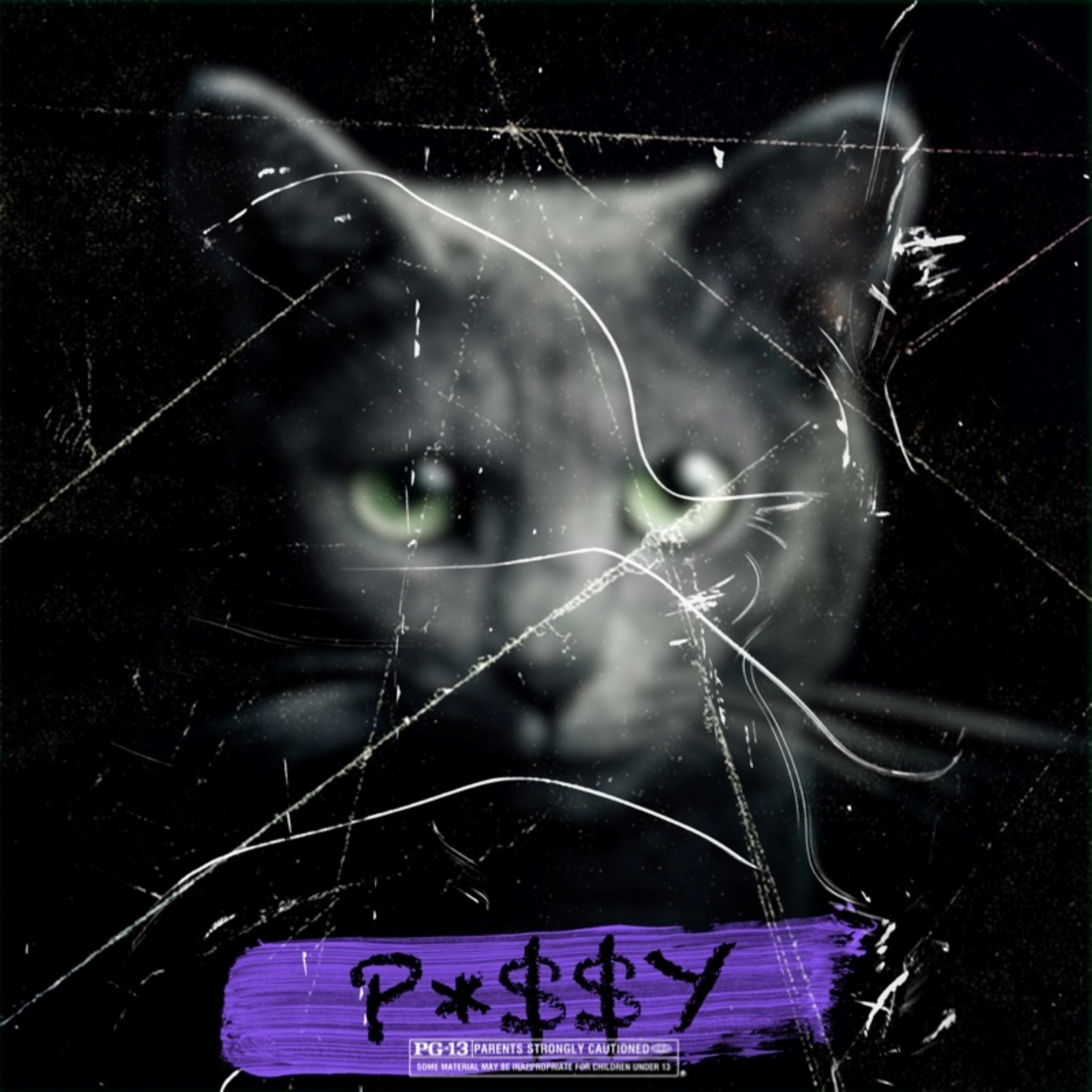 PUSSY! artwork