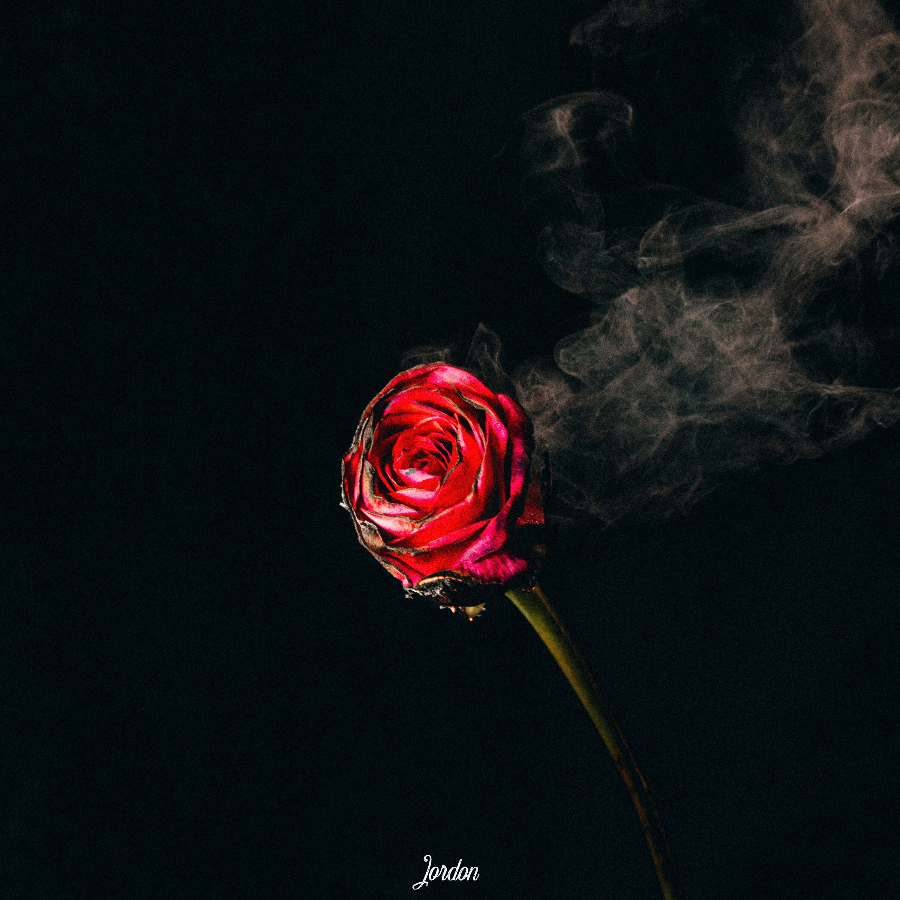 no, i can’t stay artwork