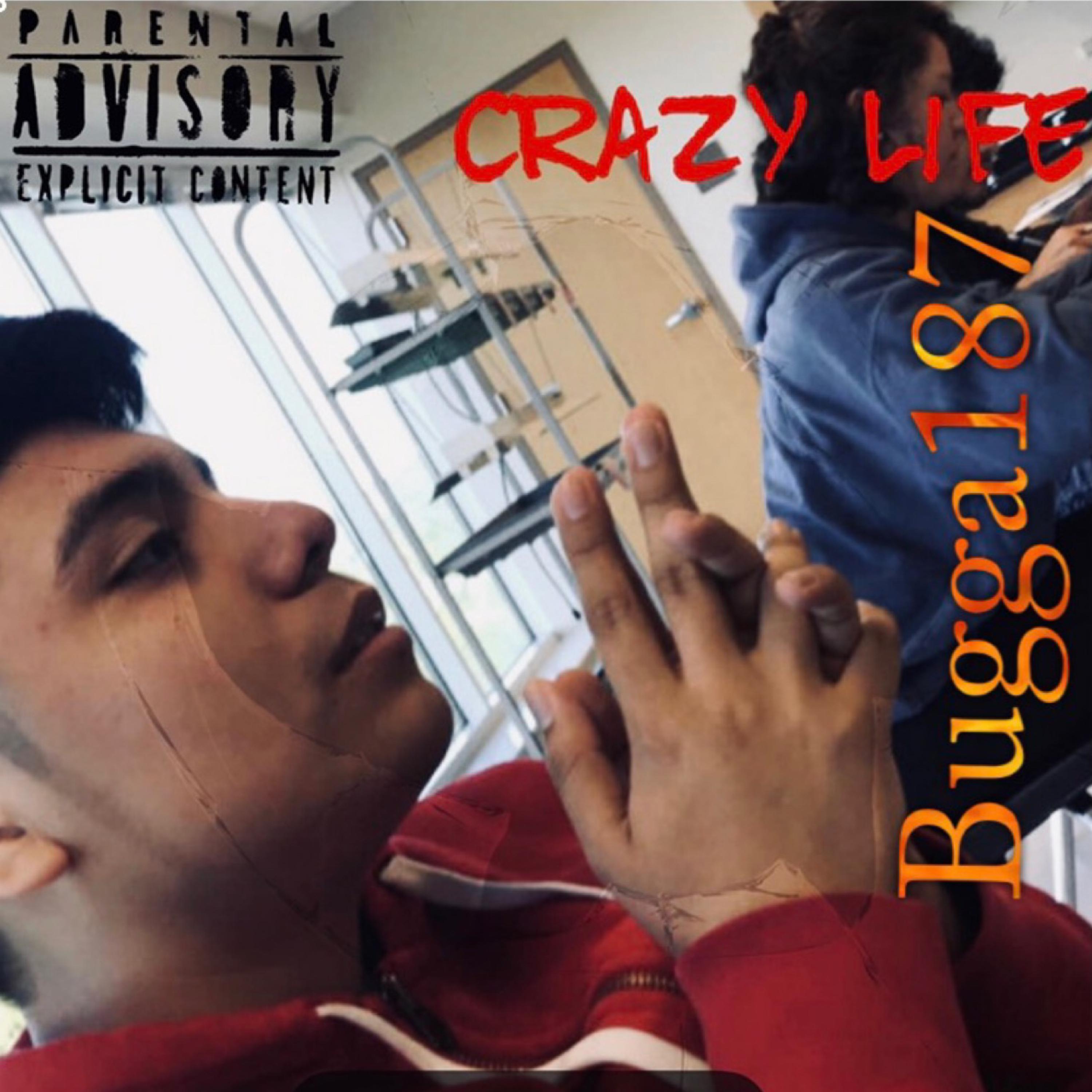 Crazy Life artwork