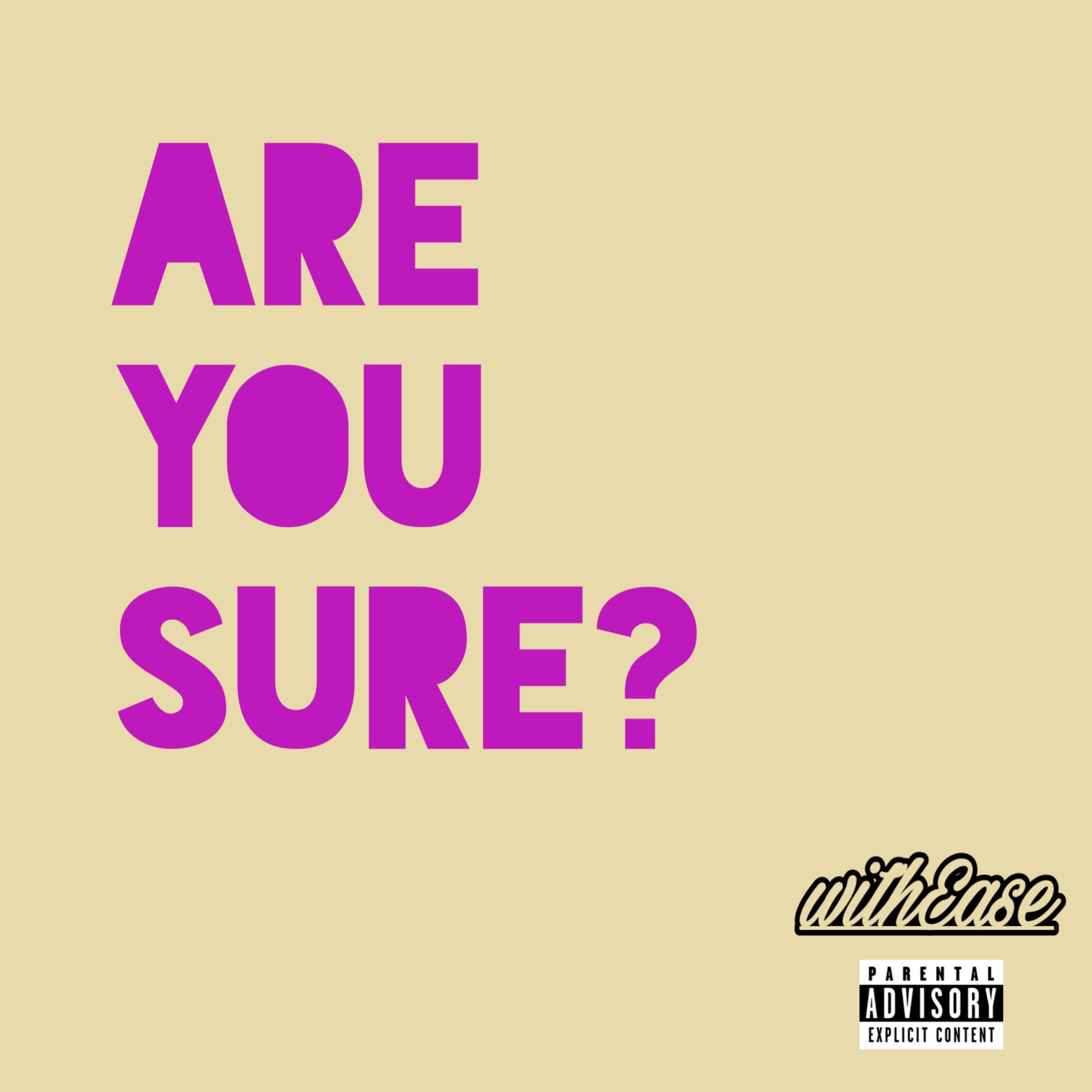 ARE YOU SURE? artwork