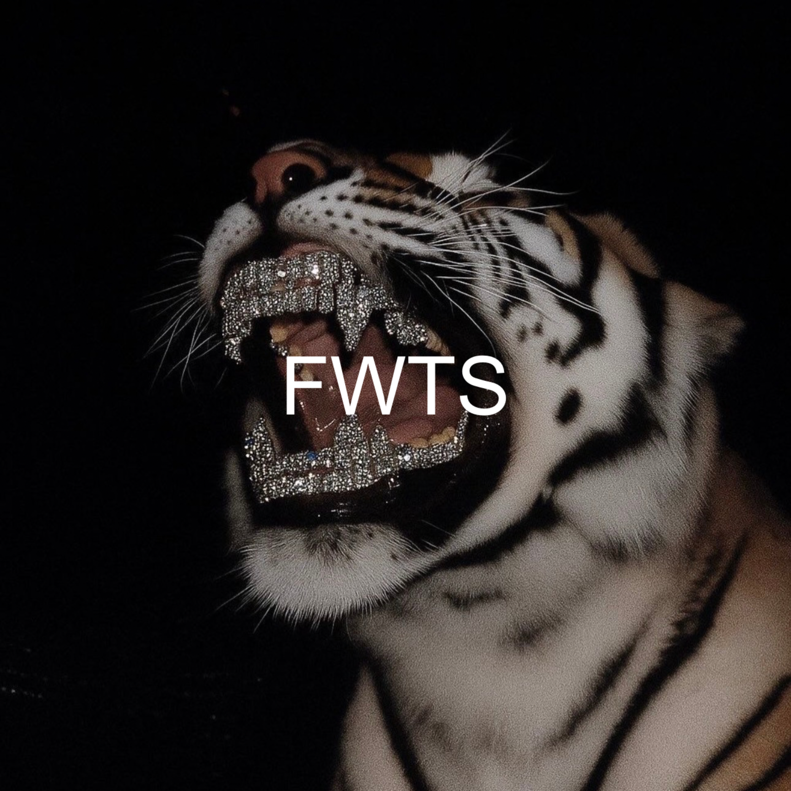 FWTS artwork