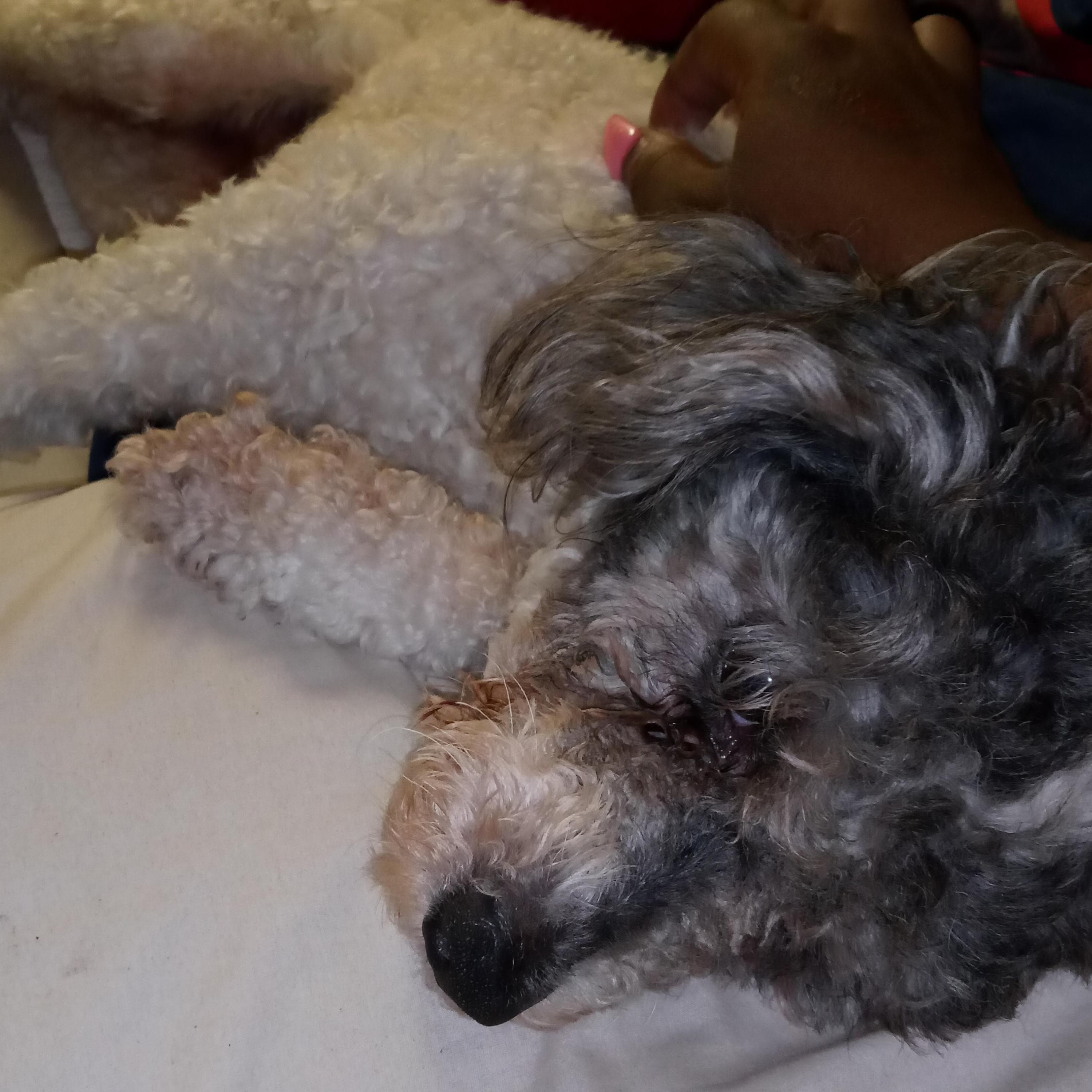 Glen ave exit artwork