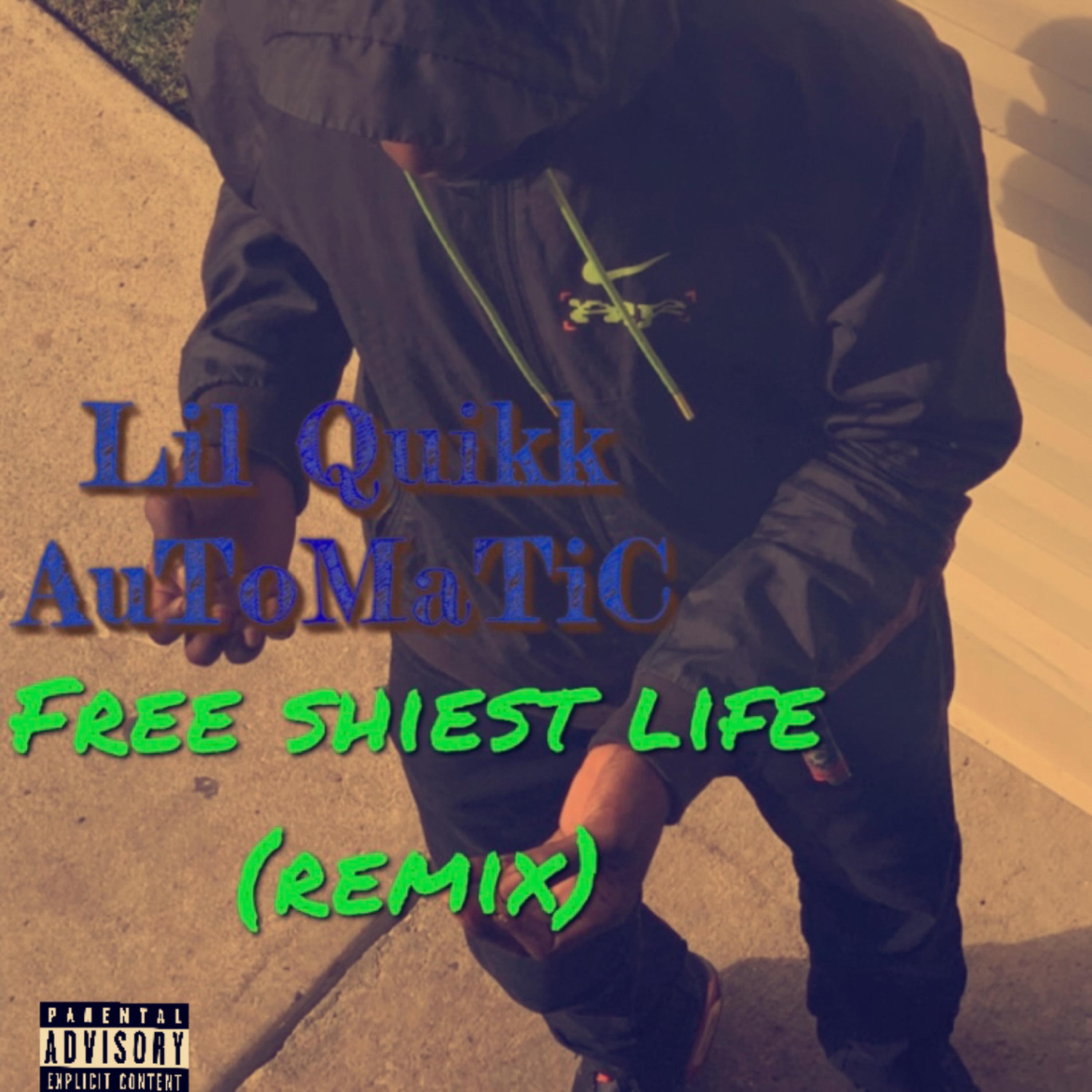 Free Shiest Life (Remix) artwork