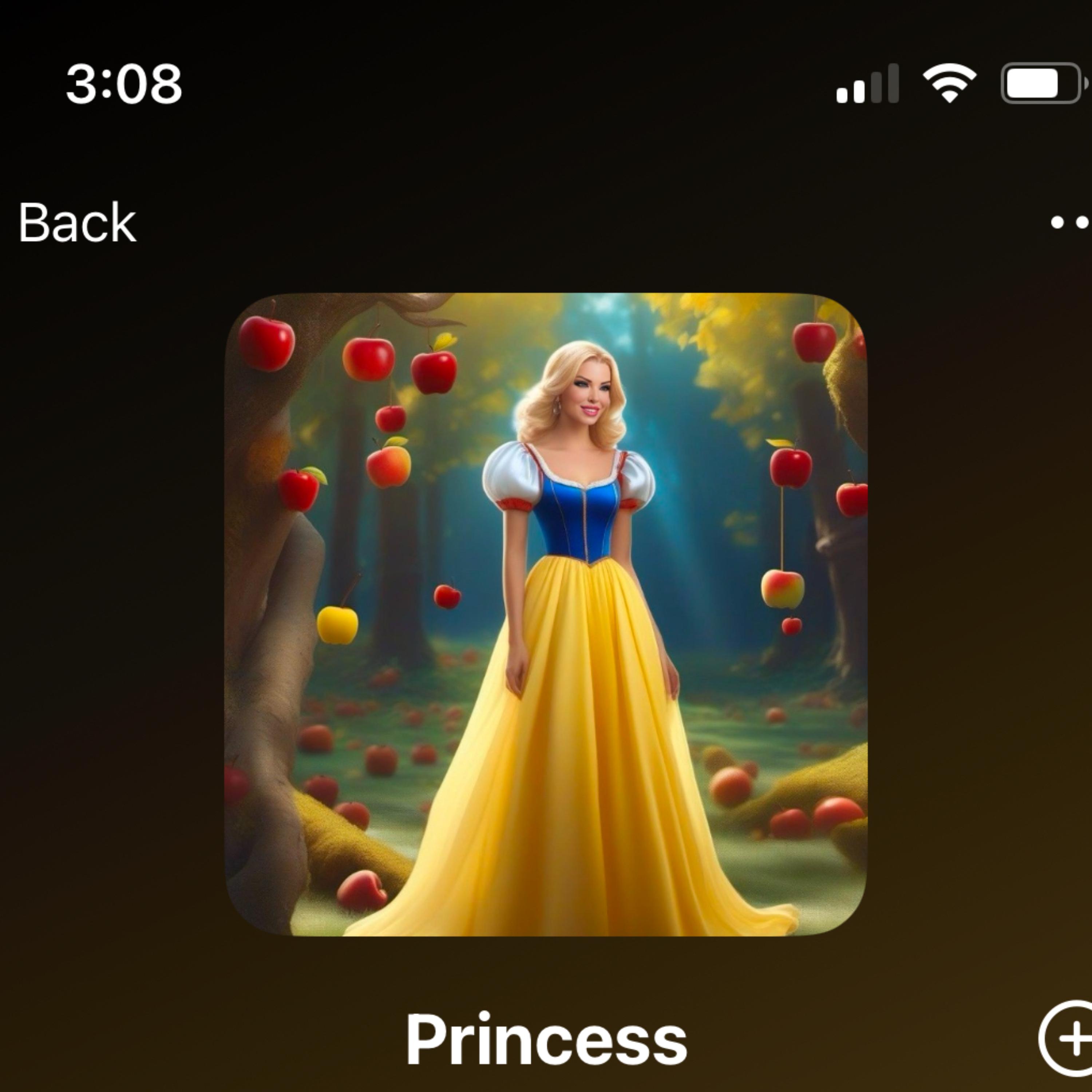 Princess artwork