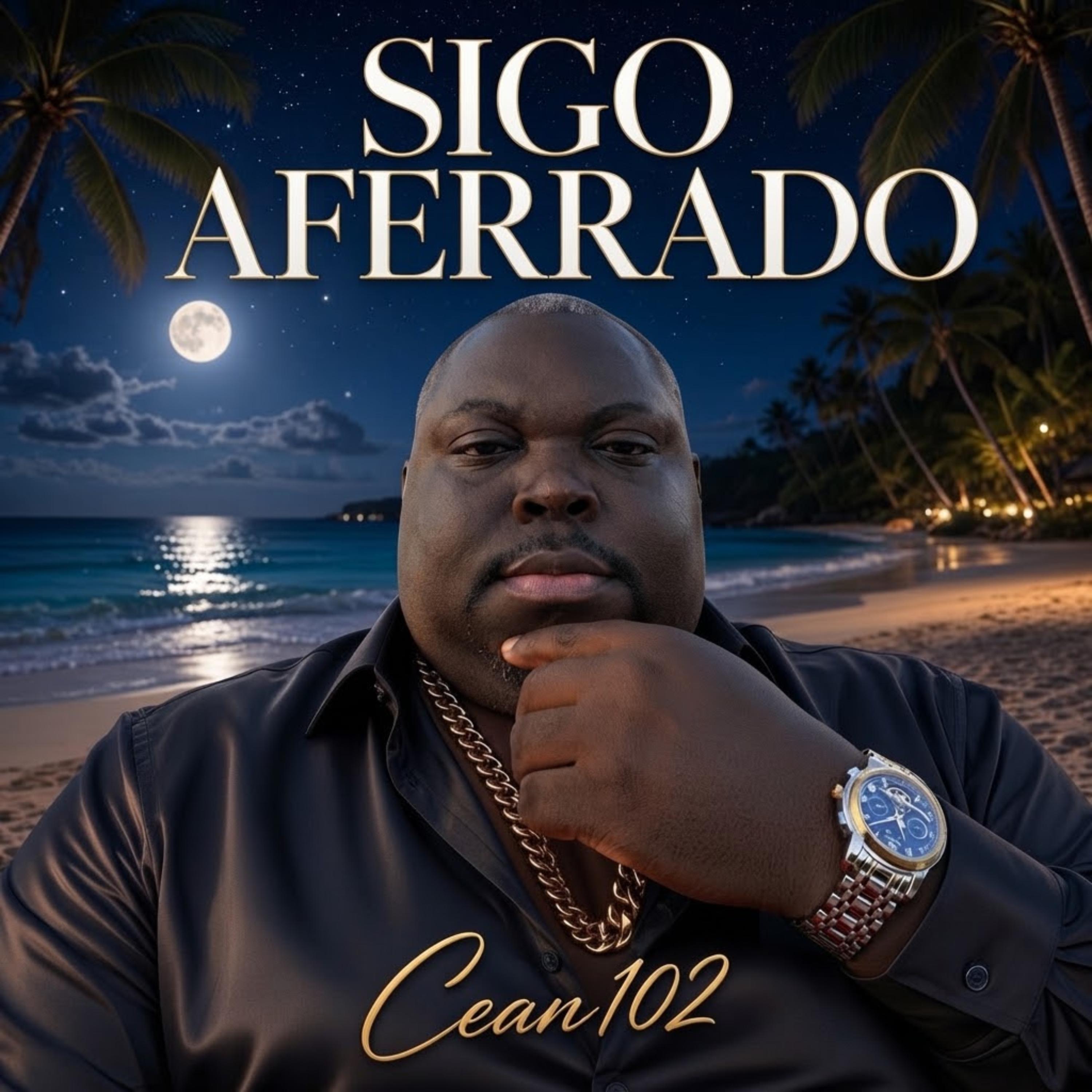 Sigo Aferrado by Cean102 cover art