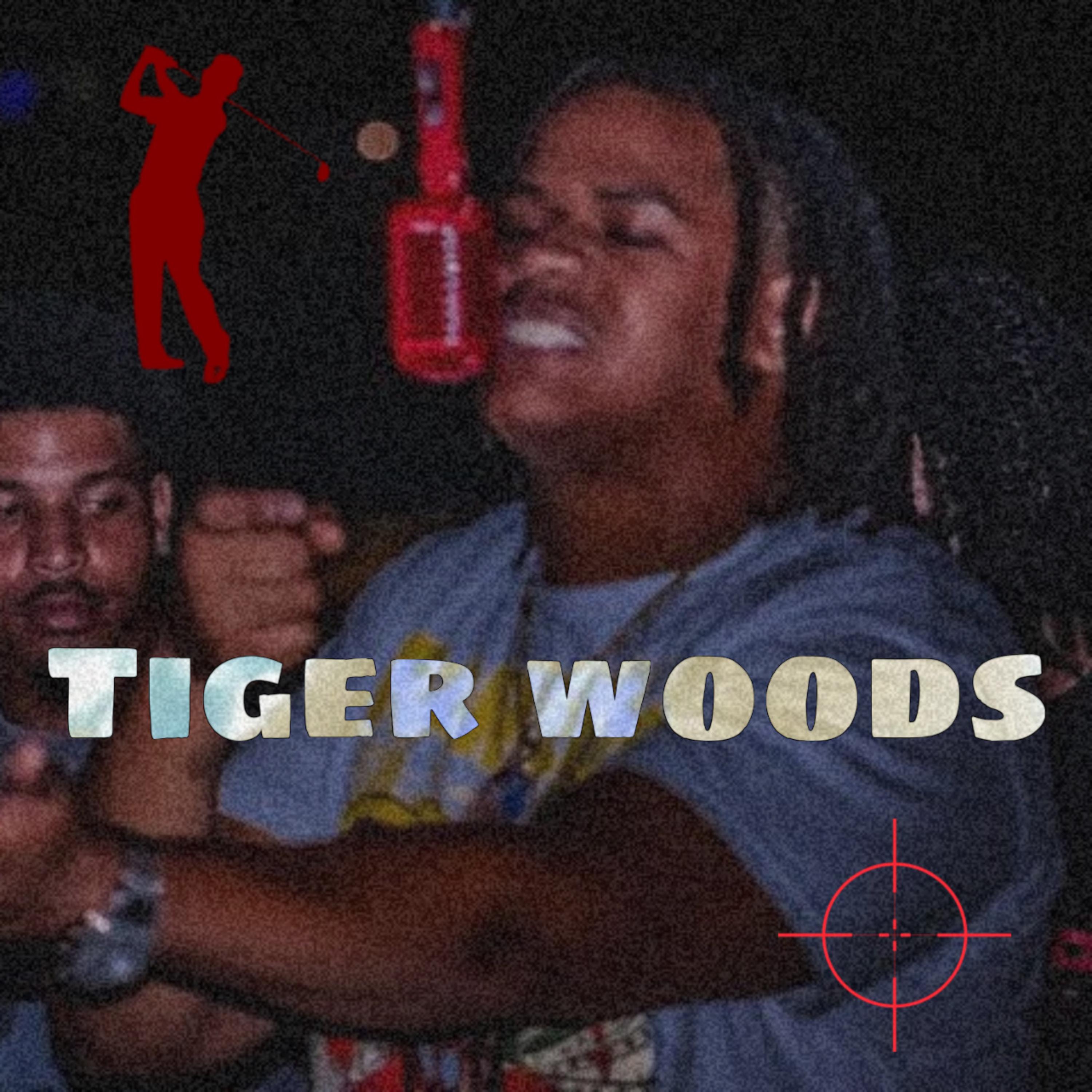 Tiger Woods artwork