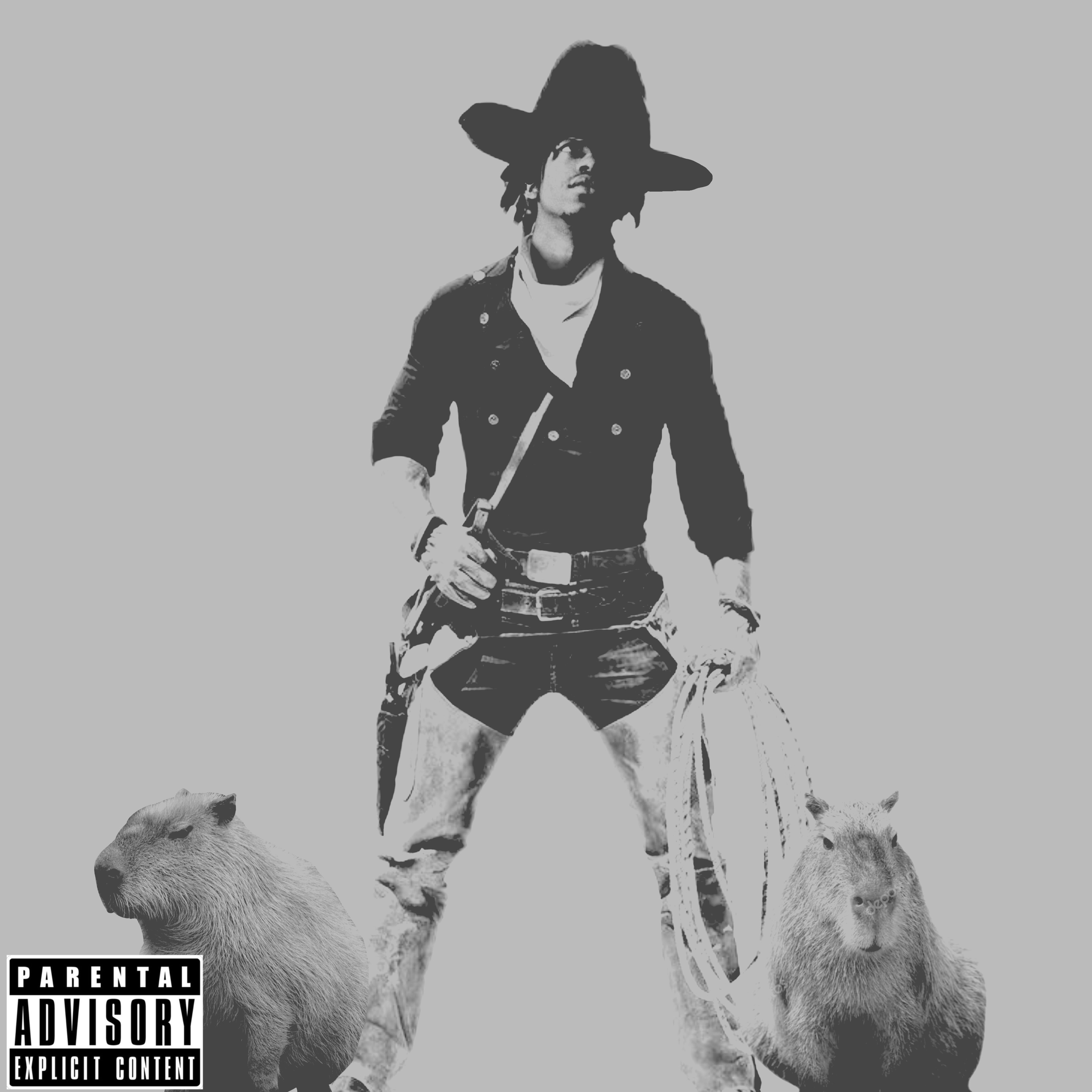 Of Cowboys And Capybaras artwork