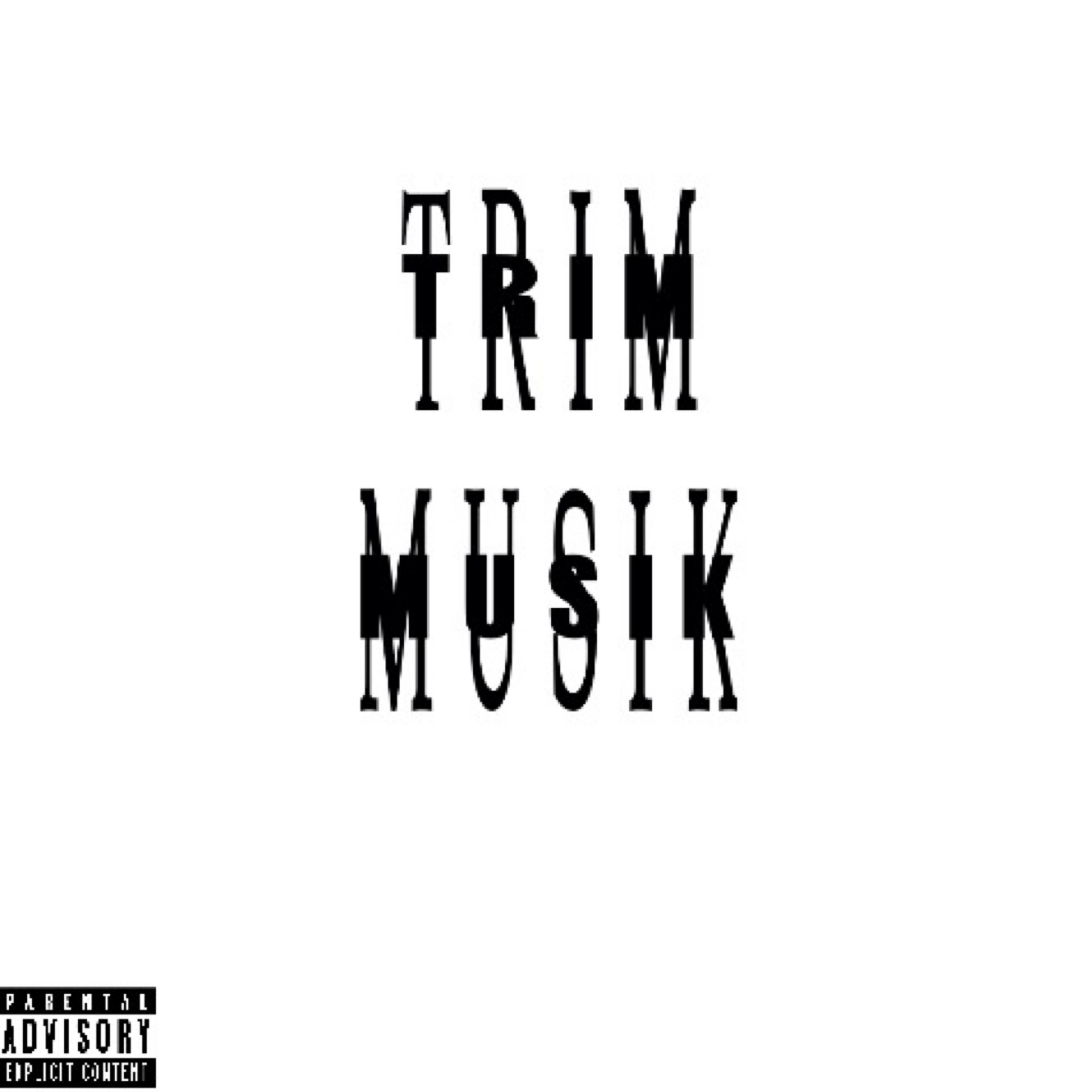Trim Musik artwork