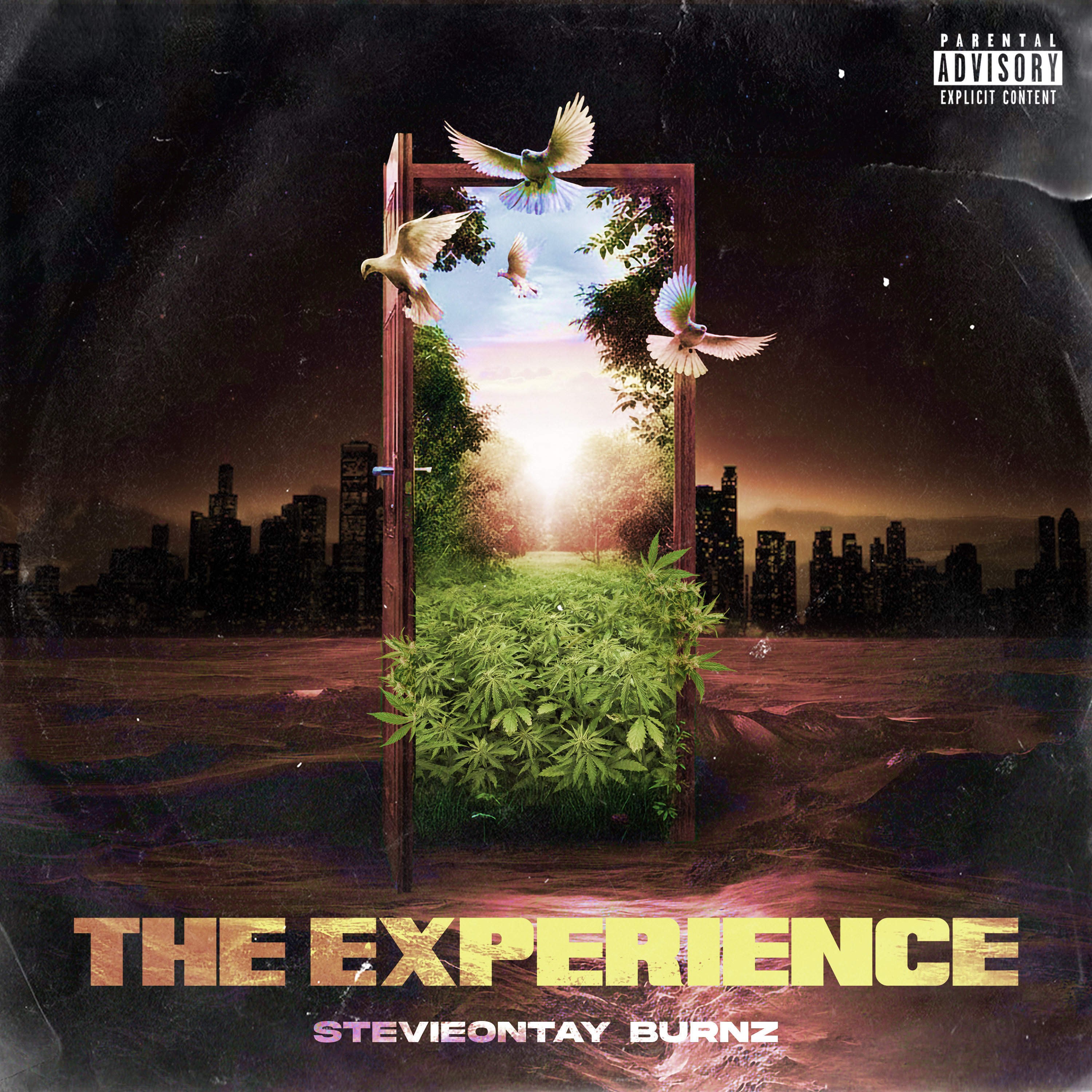The Experience by Stevieontay Burnz cover art