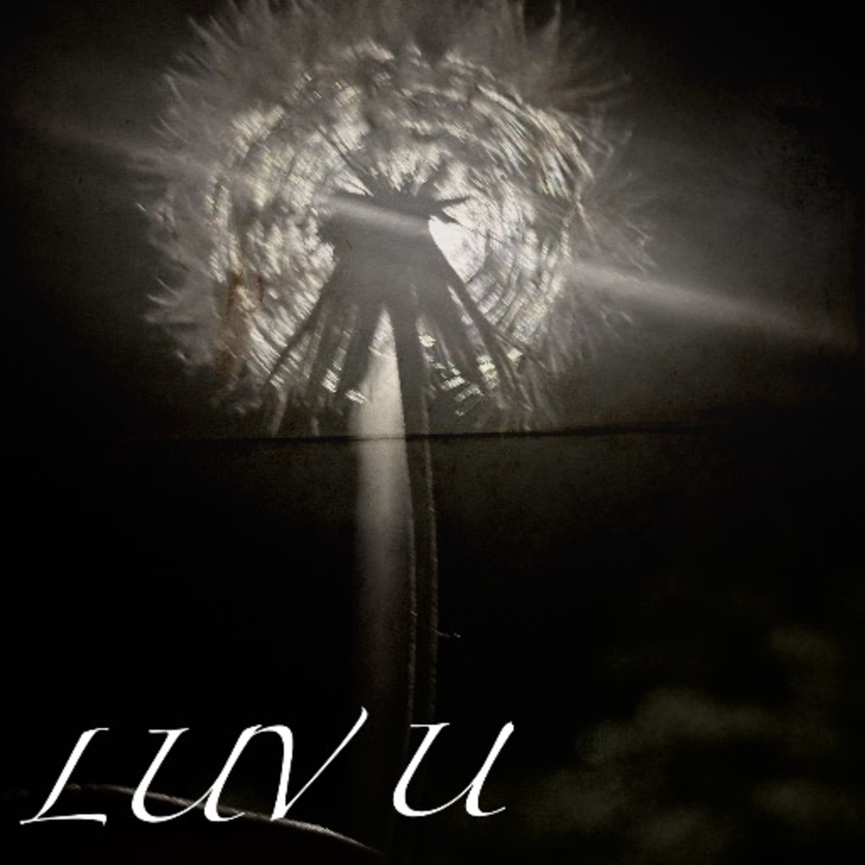 LUV U by l i l m o cover art