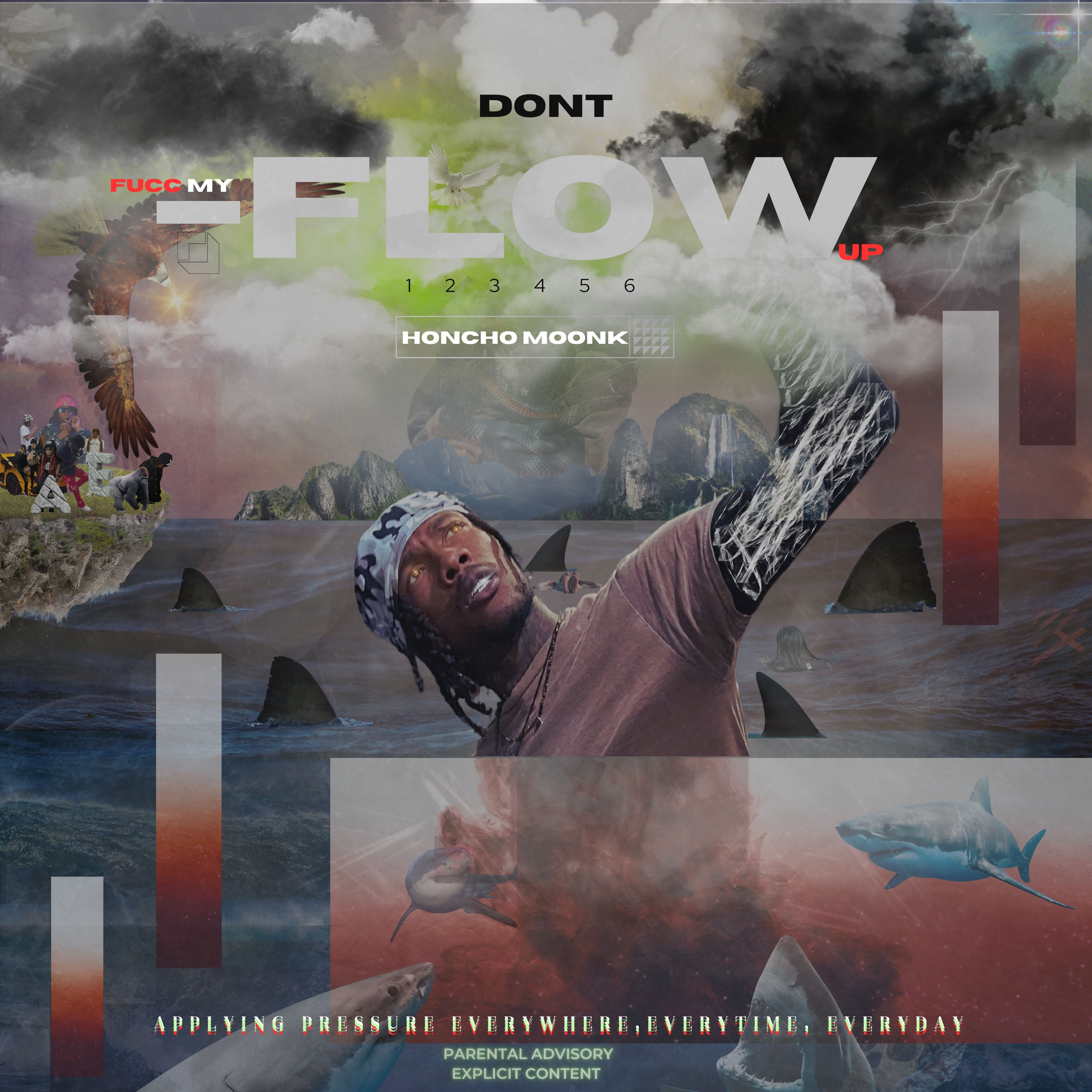 DONT FUCC MY FLOW UP artwork