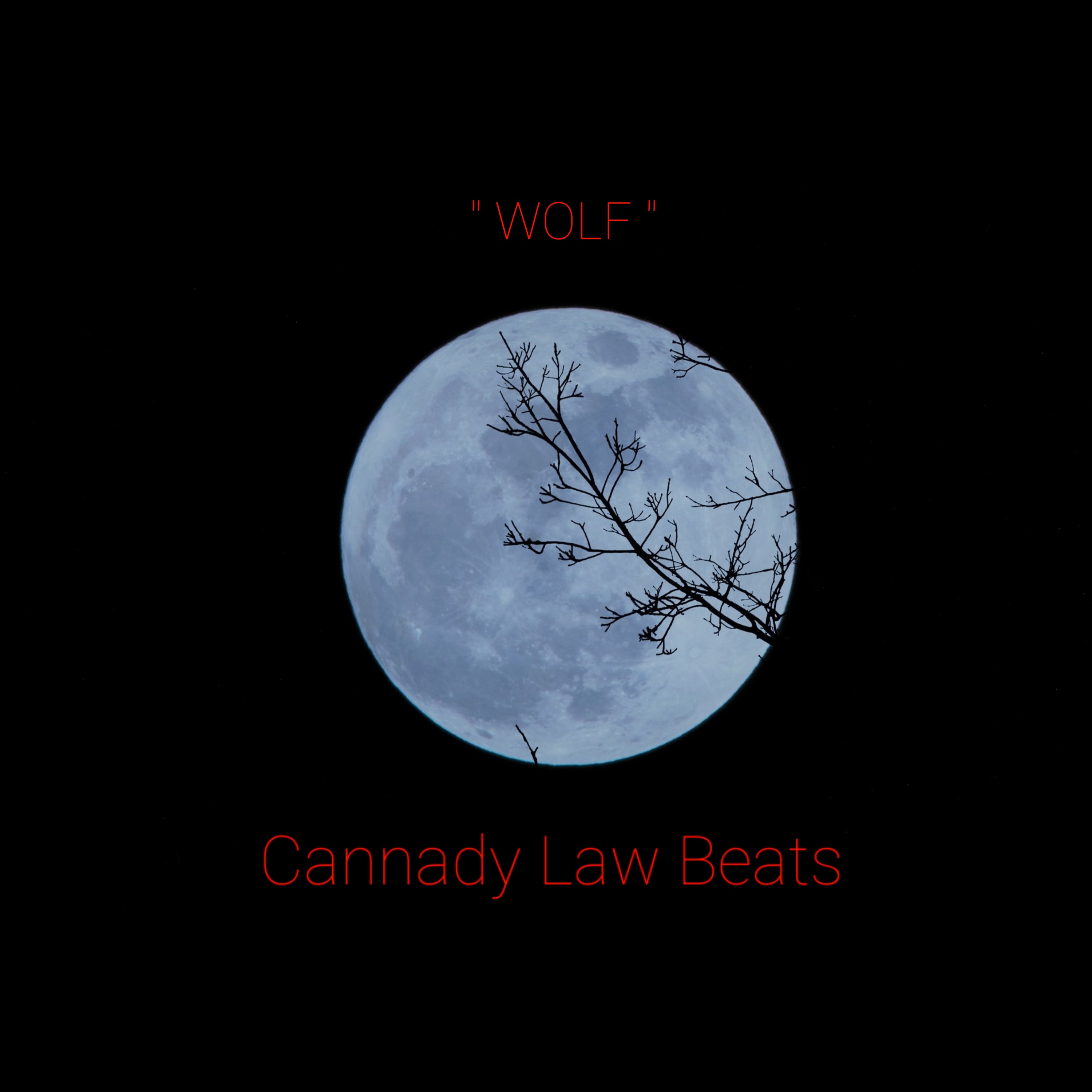 Wolf by Cannady Law Beats cover art