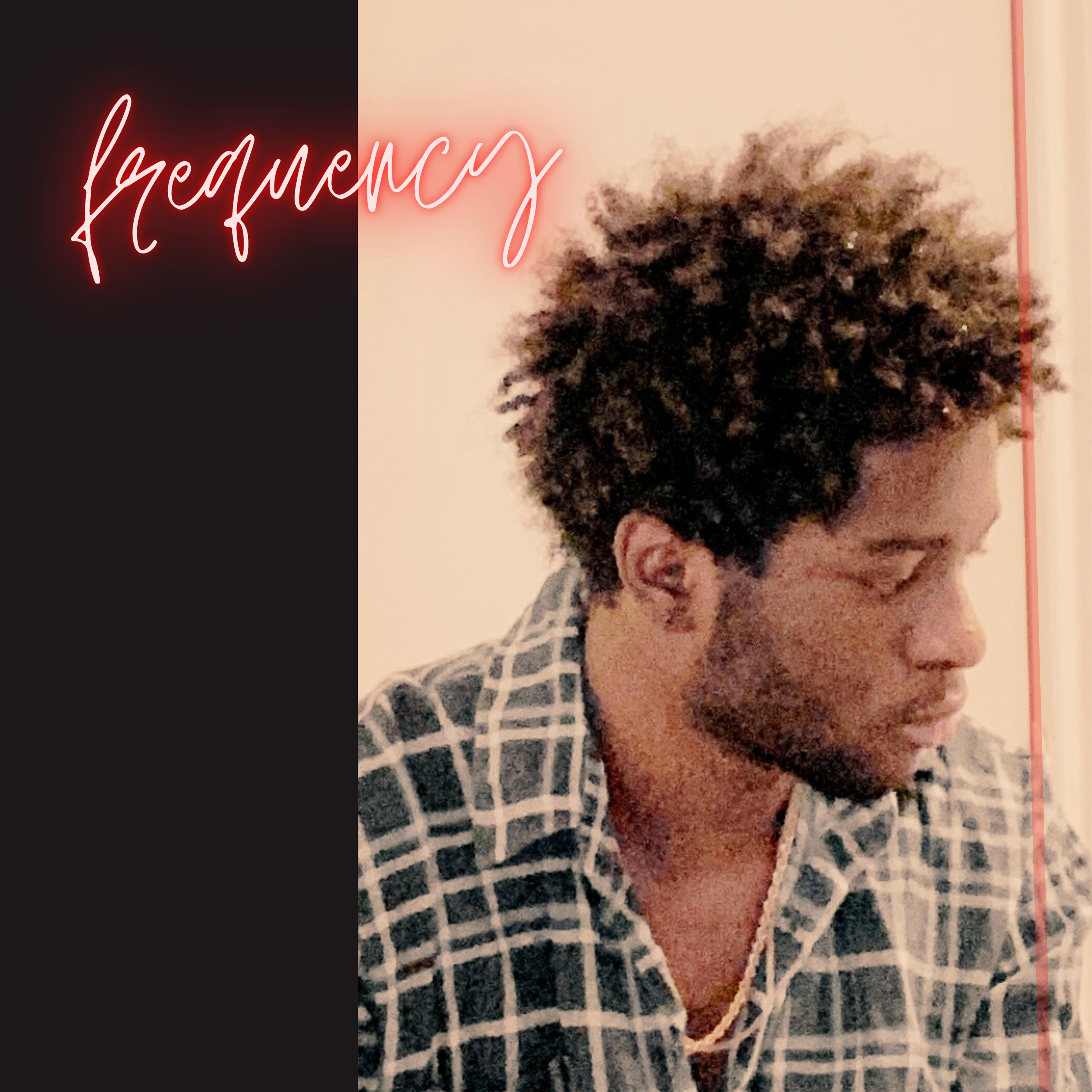 Celebration Freestyle artwork
