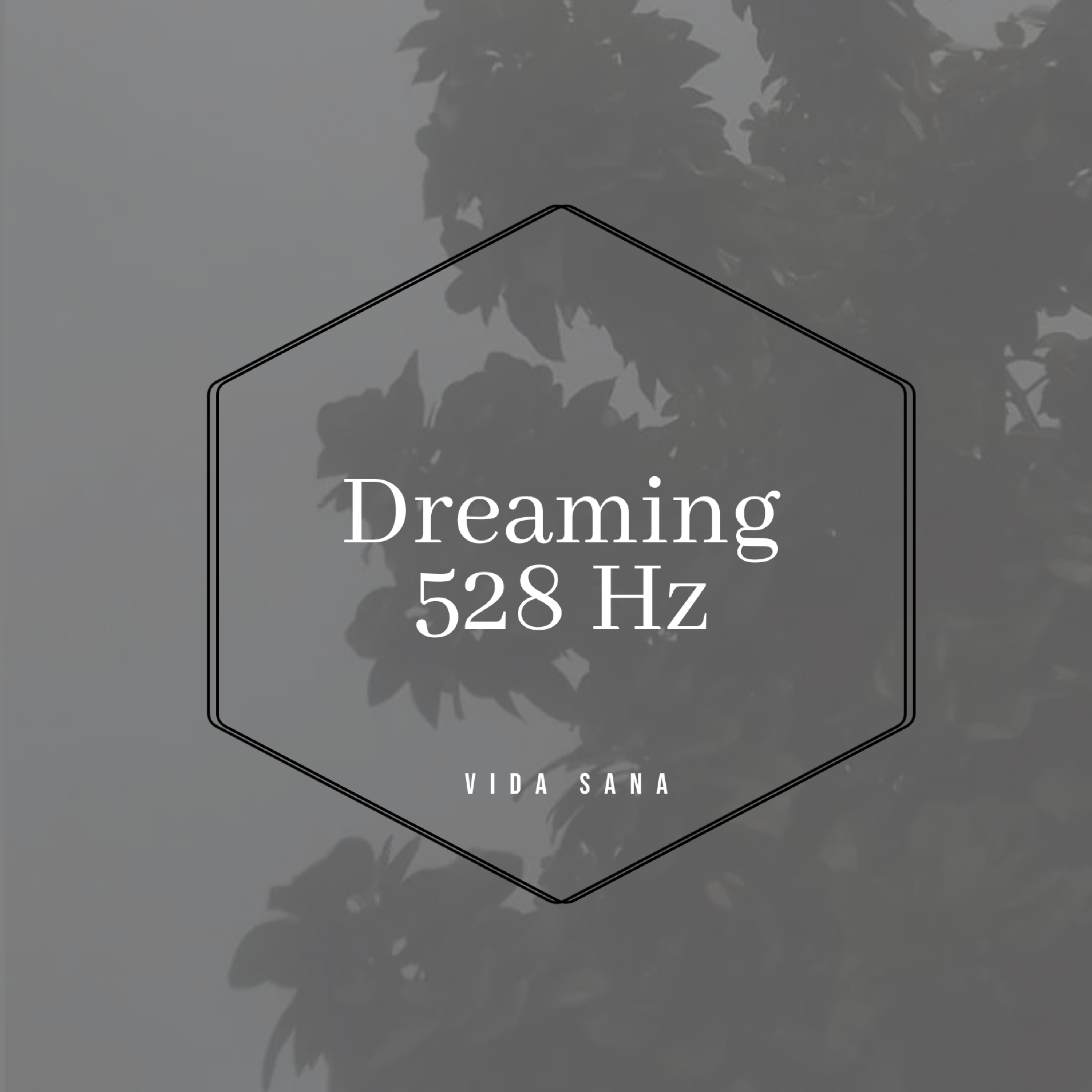 Dreaming 528 Hz artwork