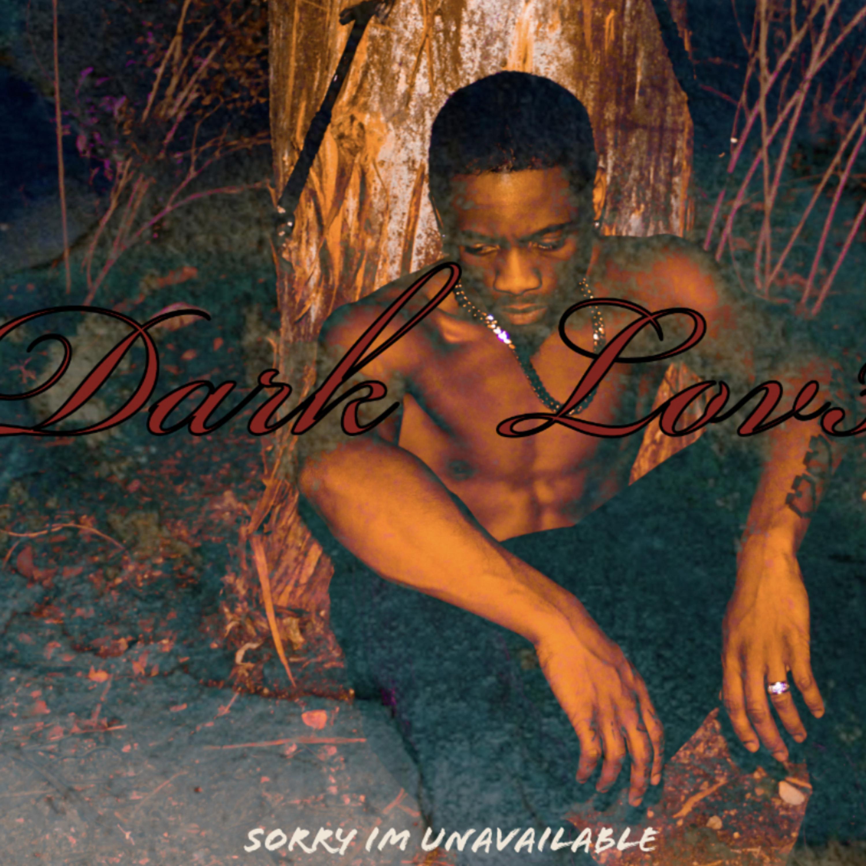 Dark Lov3. artwork