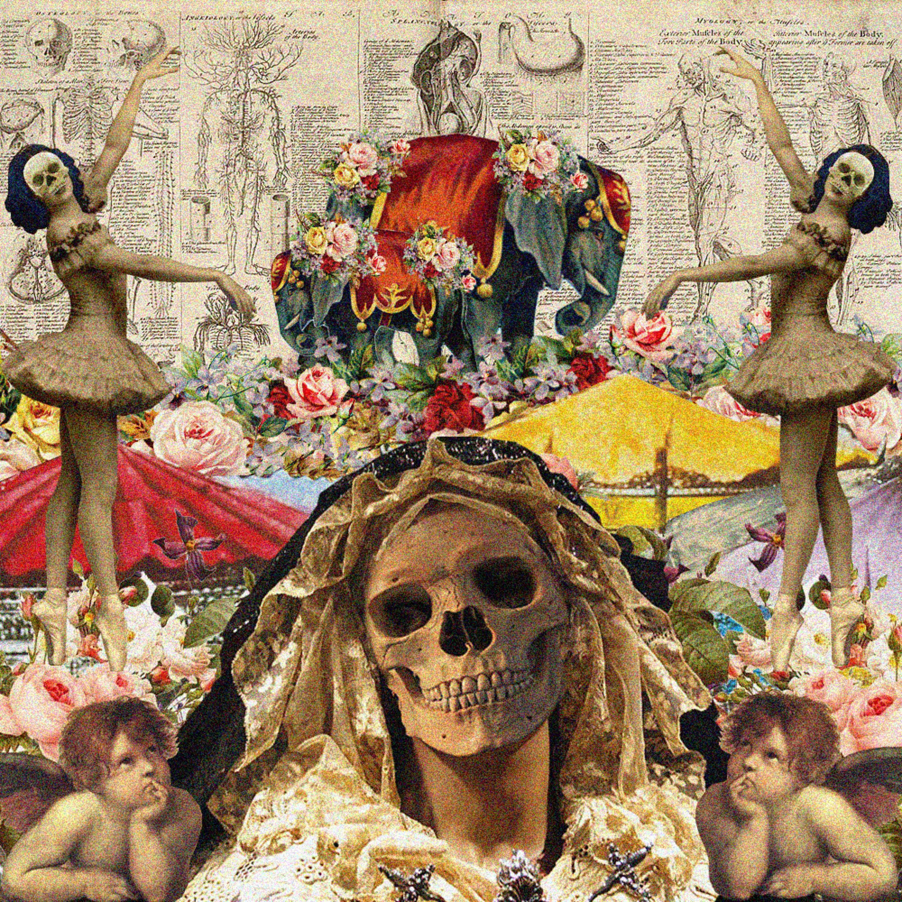 SLEEPLATE artwork