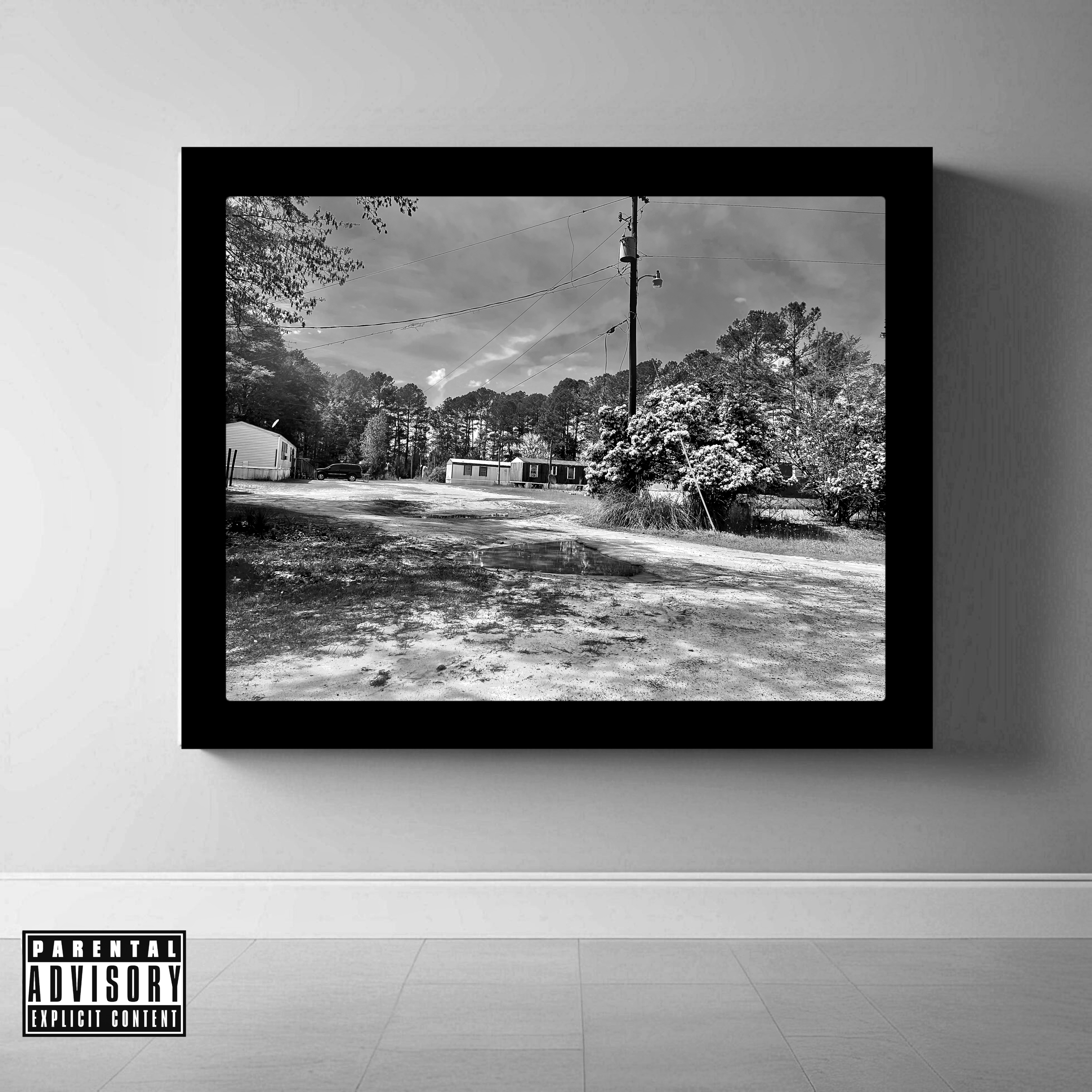 Trailer Park Baby artwork