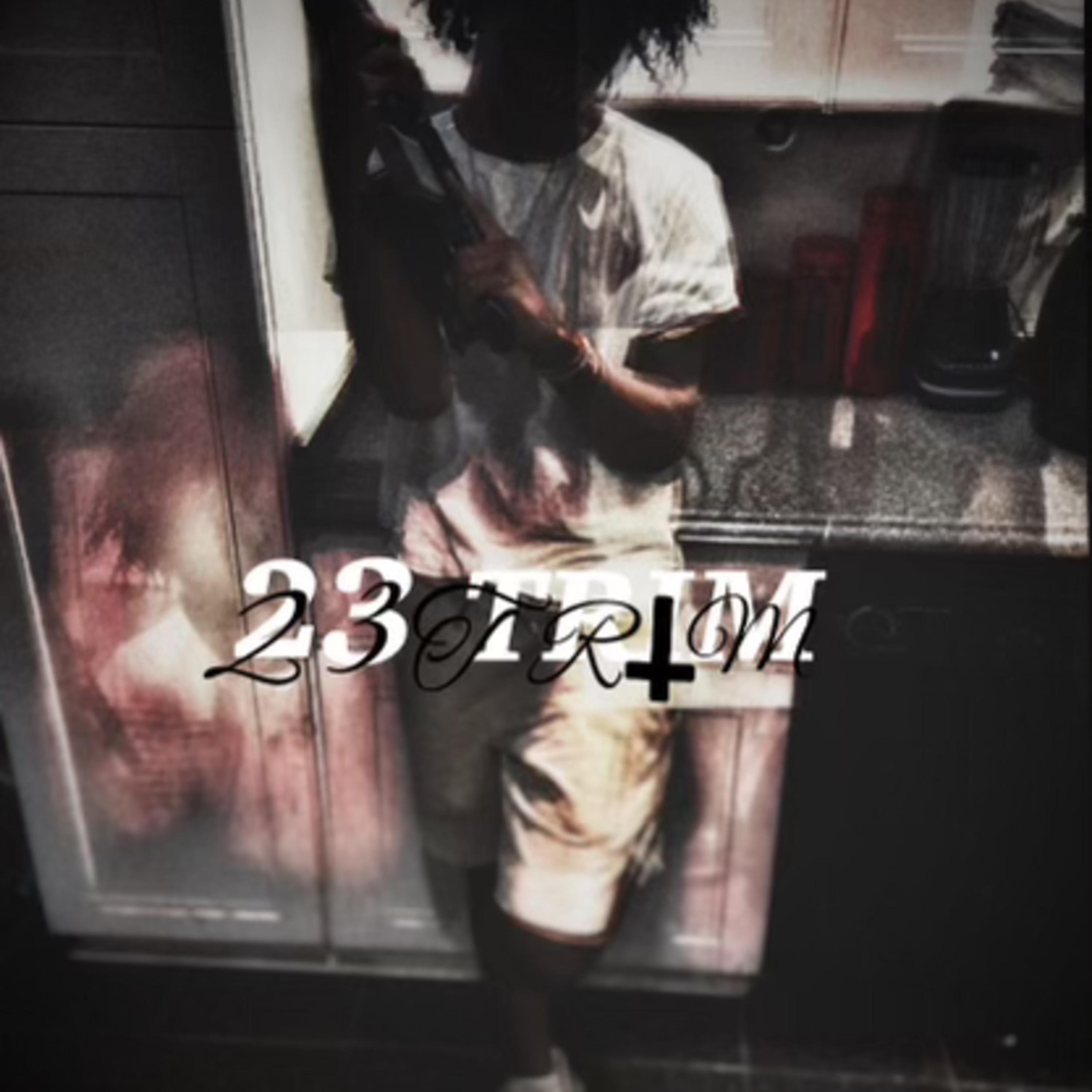 23 Trim artwork