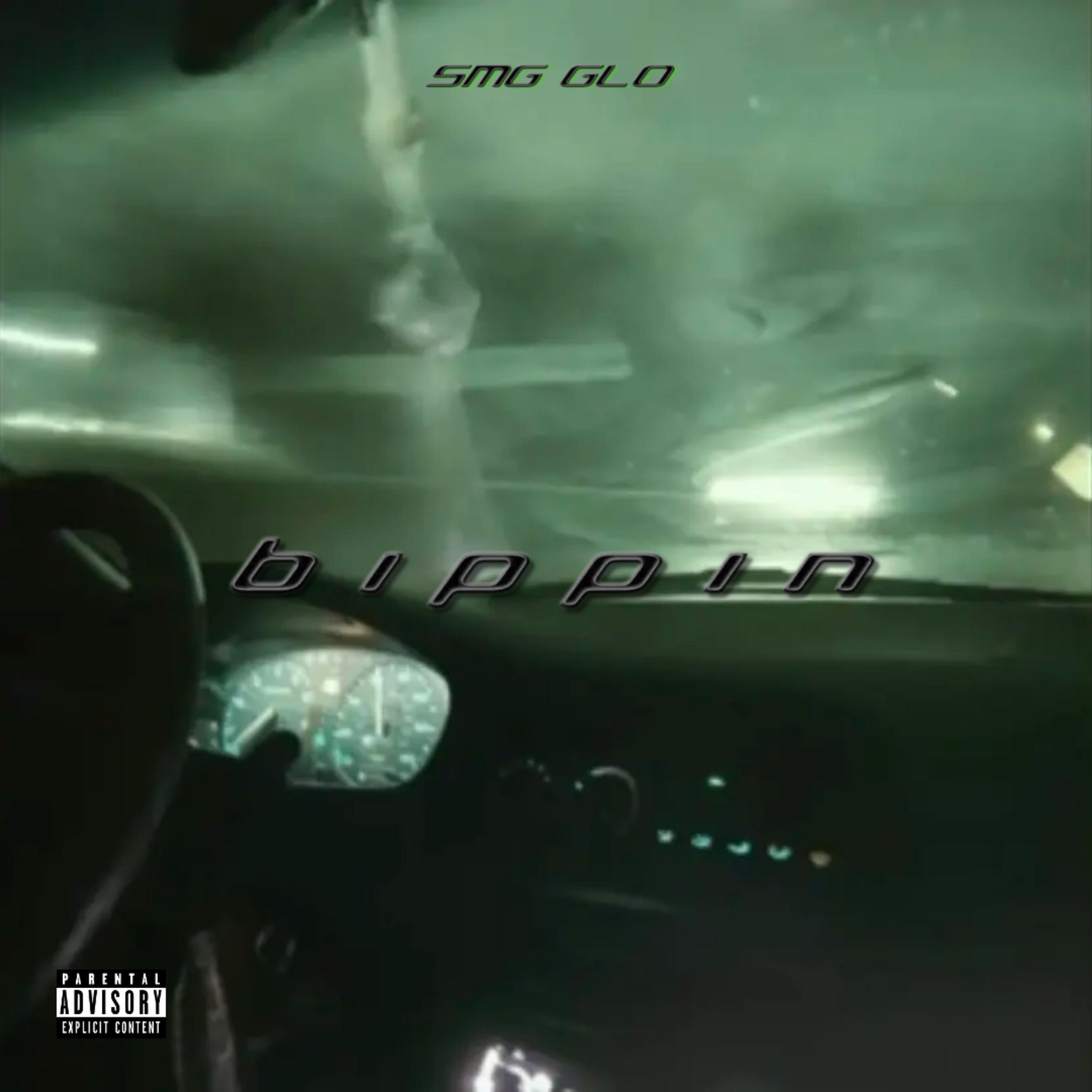 b i p p i n artwork