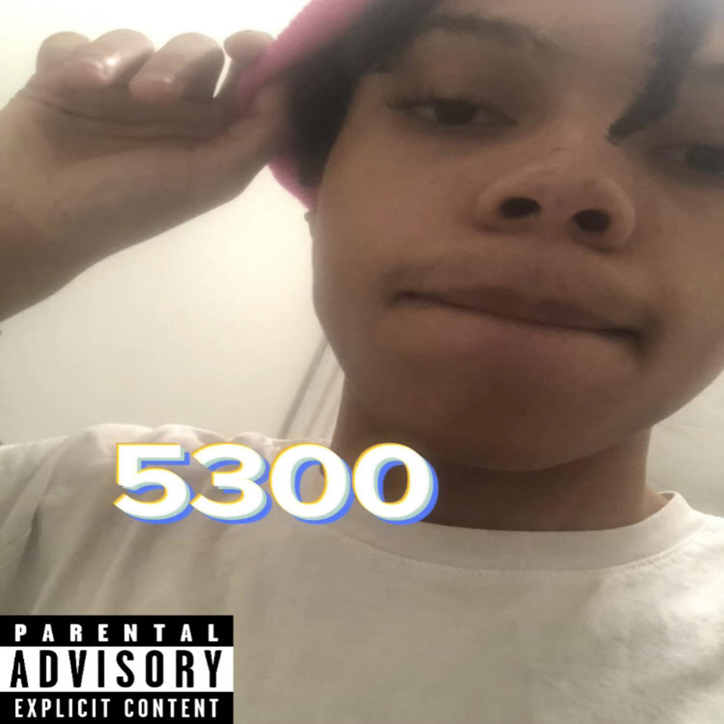5300 (romance) by Jaden2thurl cover art