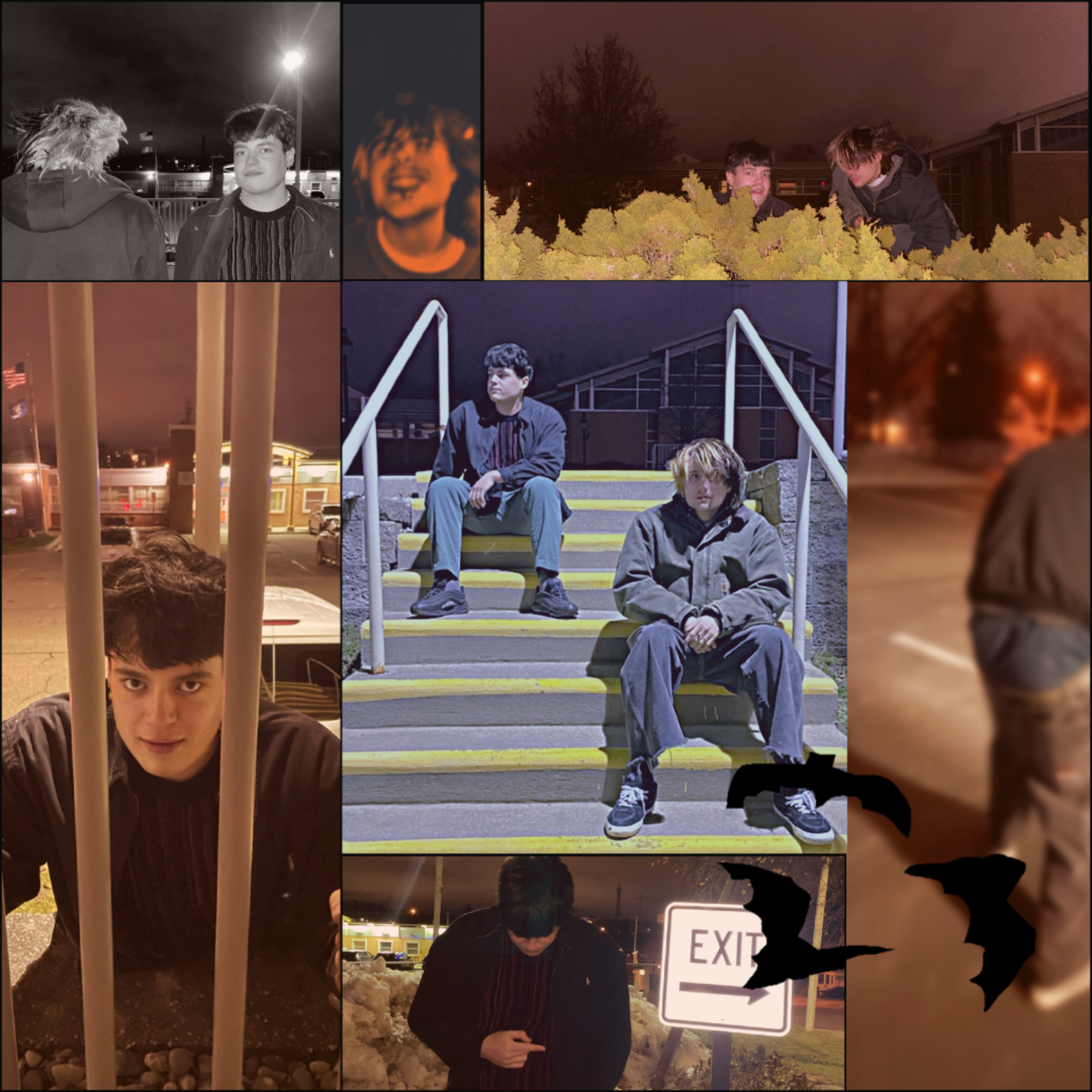Plugg Diaries artwork
